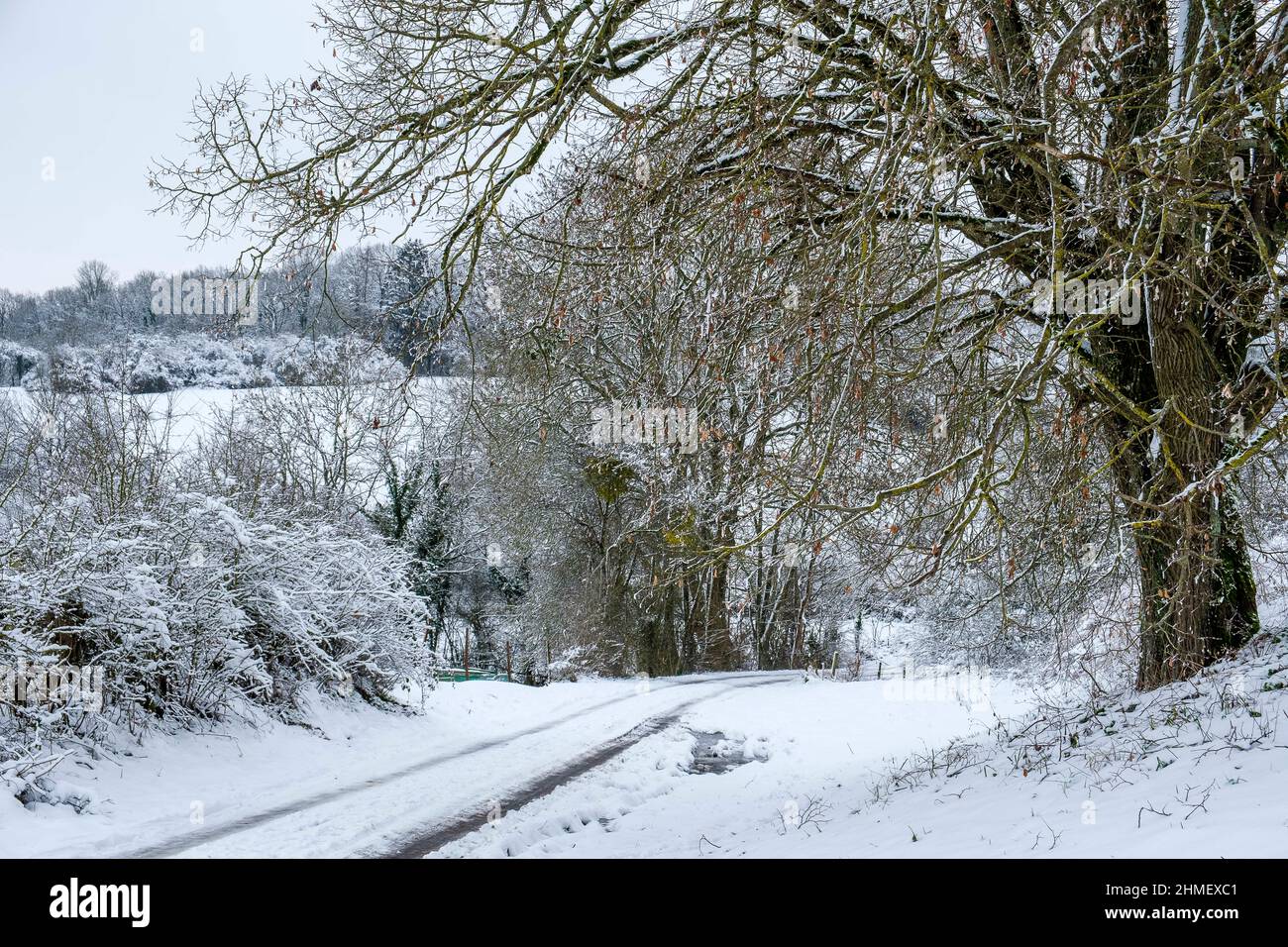 Neige le long du réseau routier secondaire routes secondaires non dégagées la neige est sur les routes et sur le bitume Banque D'Images