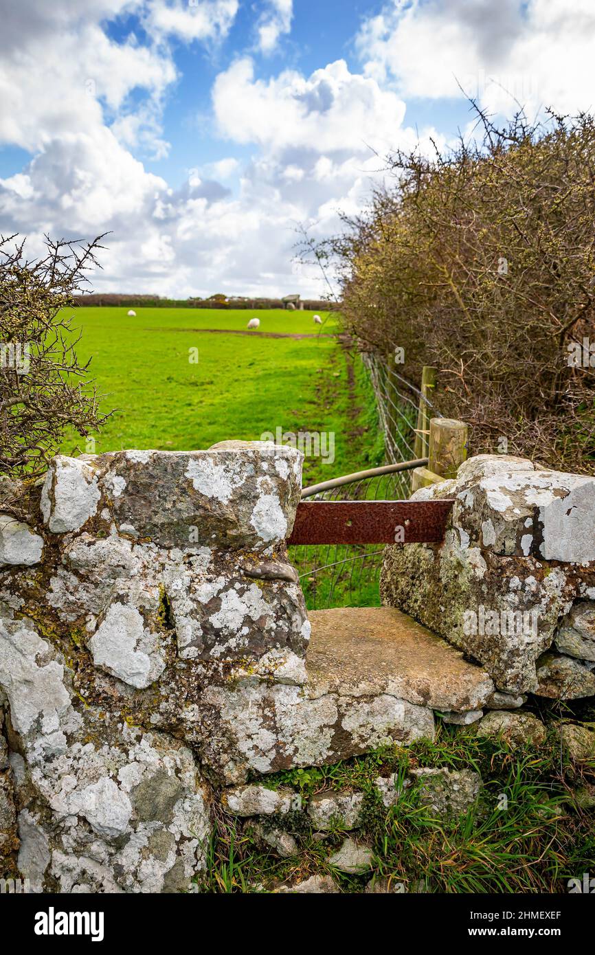 Ty Newydd Burial Chamber, un dolmen néolithique situé près du village de Llanfaelog sur l'île d'Anglesey au pays de Galles* Banque D'Images