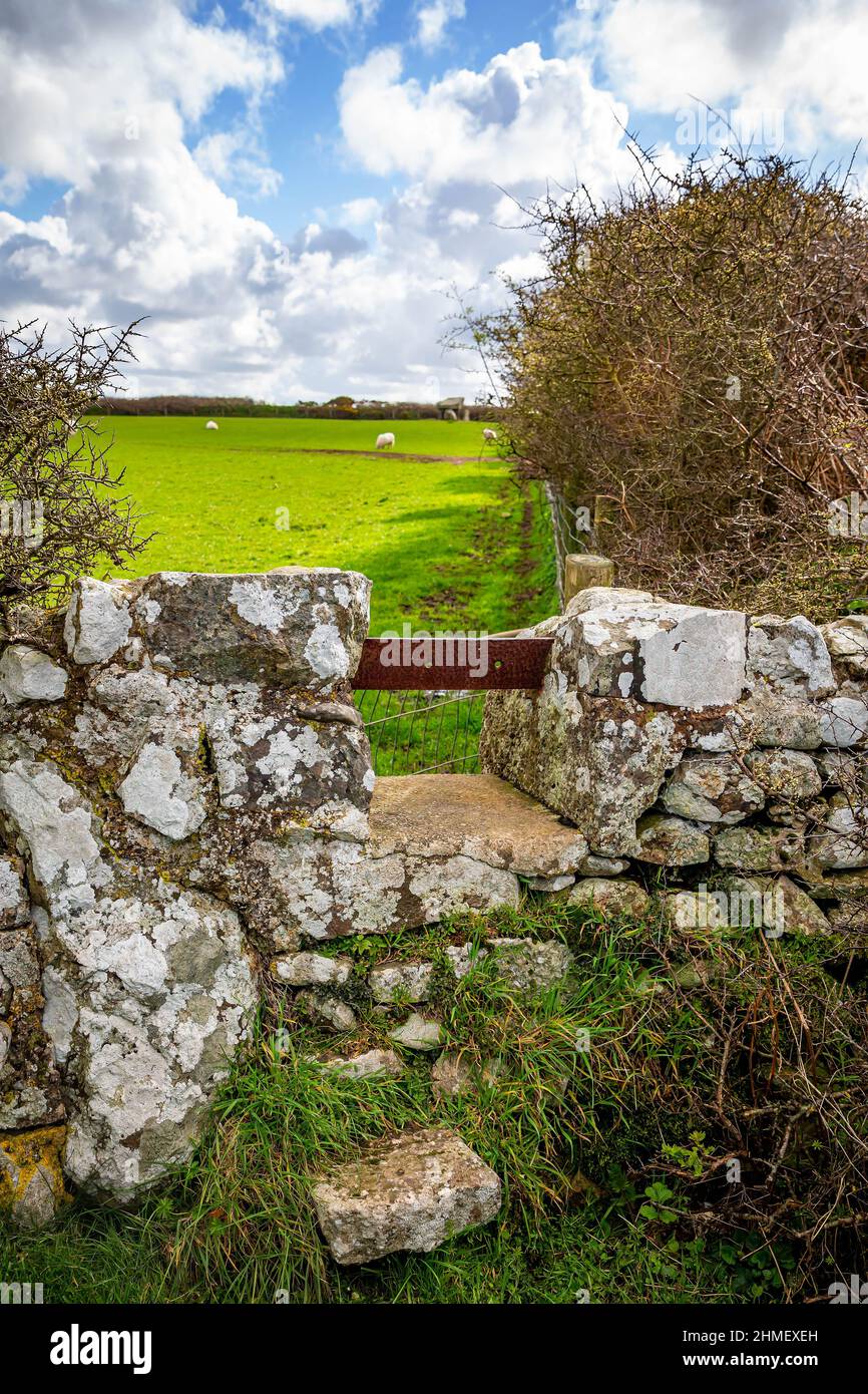 Ty Newydd Burial Chamber, un dolmen néolithique situé près du village de Llanfaelog sur l'île d'Anglesey au pays de Galles* Banque D'Images