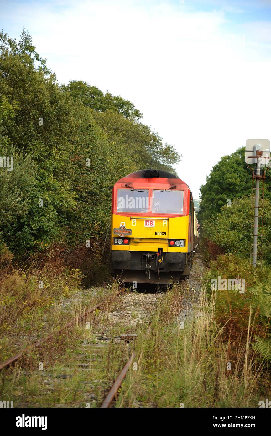 '60039' à l'arrière du chemin de fer 'Taffy Tug 2' à Fountain Level Crossing, Aberkenfig. Banque D'Images