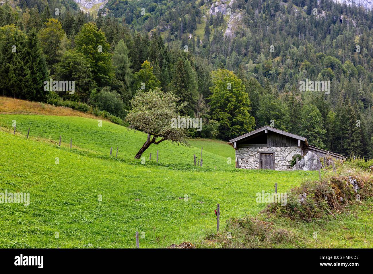 Petite cabane en pierre au bord de la route, Hintersee, Bavière, Allemagne Banque D'Images