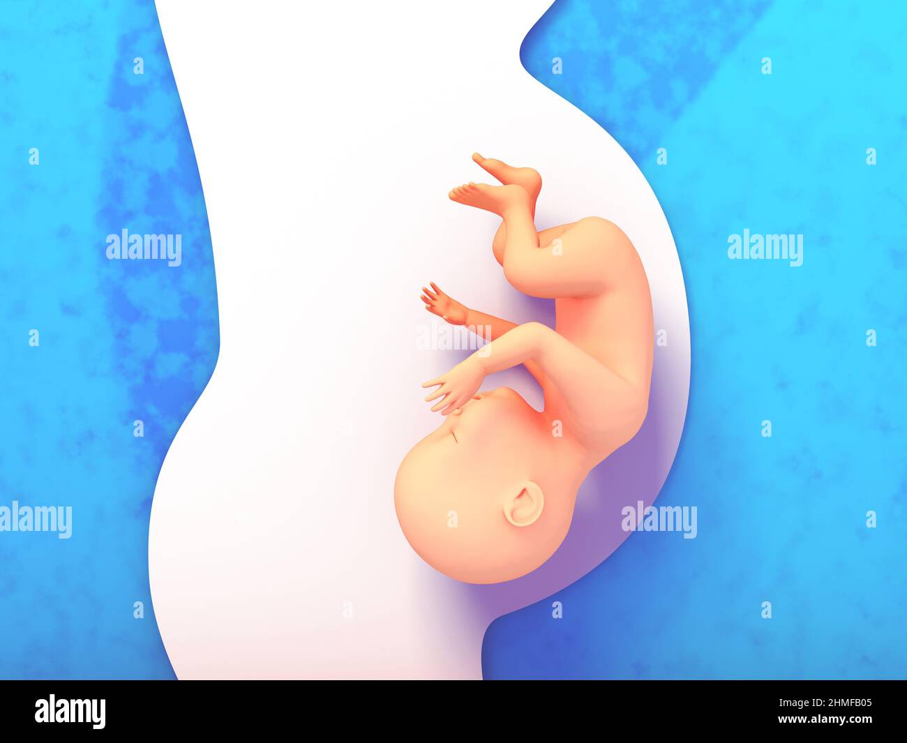 3d illustration de la silhouette de la femme enceinte sur fond bleu. Montrer que l'enfant à naître en aide se fait remarquer. Gestation. Banque D'Images