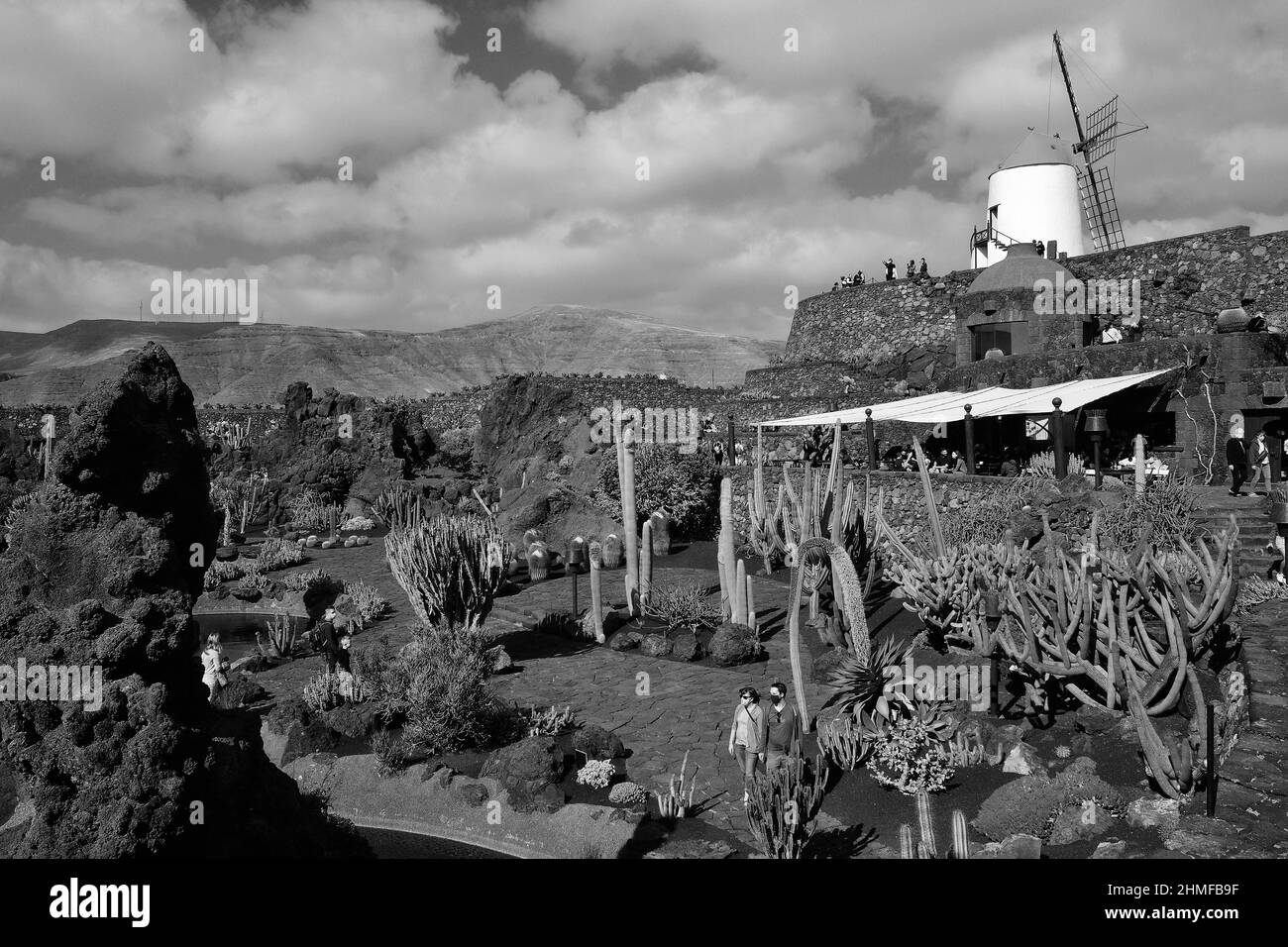 Photographie en noir et blanc, jardin de Cactus, jardin de cactus à Guatiza, Lanzarote, Espagne Banque D'Images