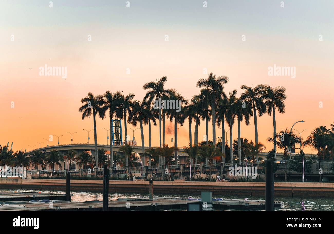 panorama Palms port MIAMI FLORIDA coucher de soleil Banque D'Images