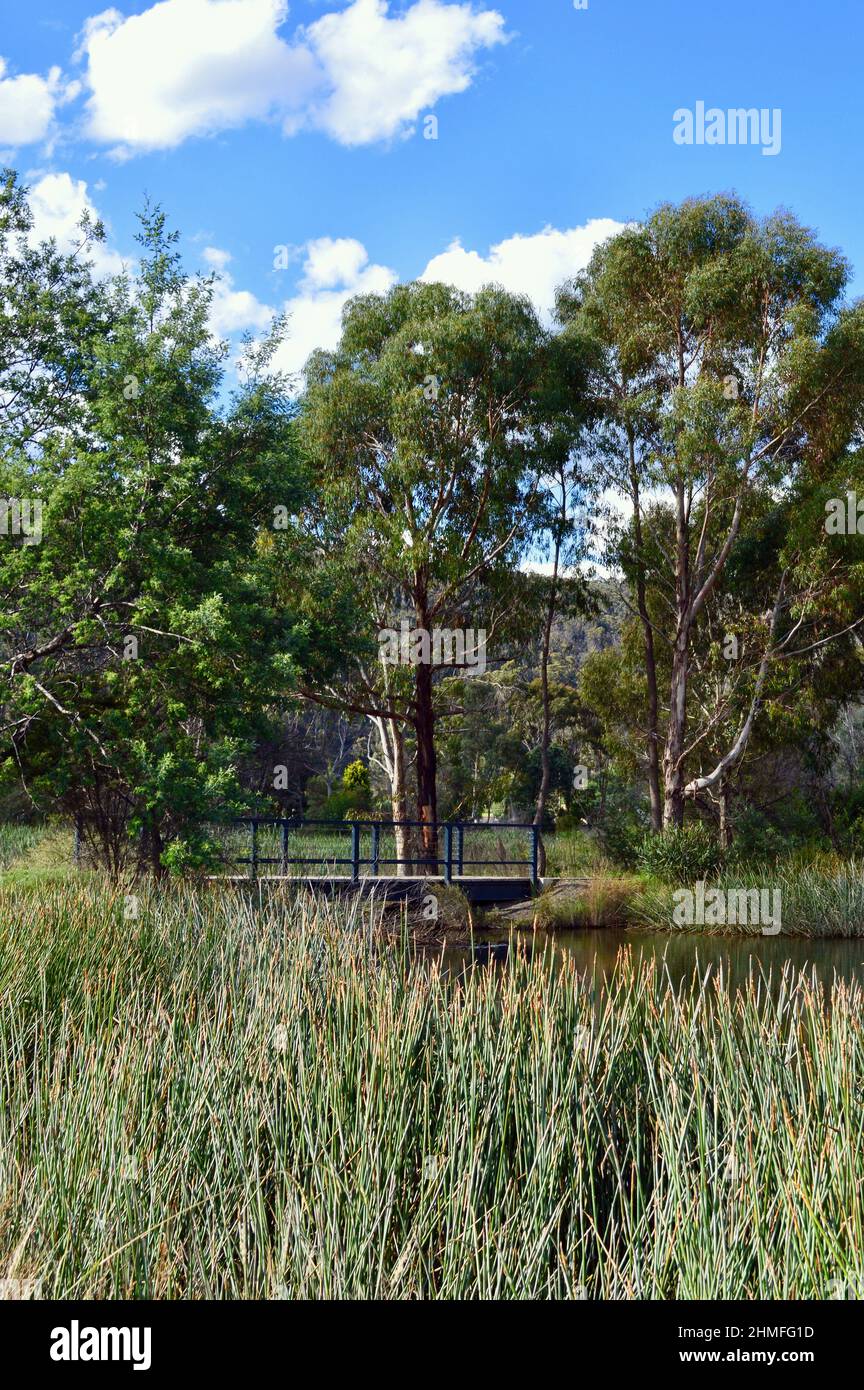 Vue sur les marécages du lac Pillans près de Lithgow, en Australie Banque D'Images