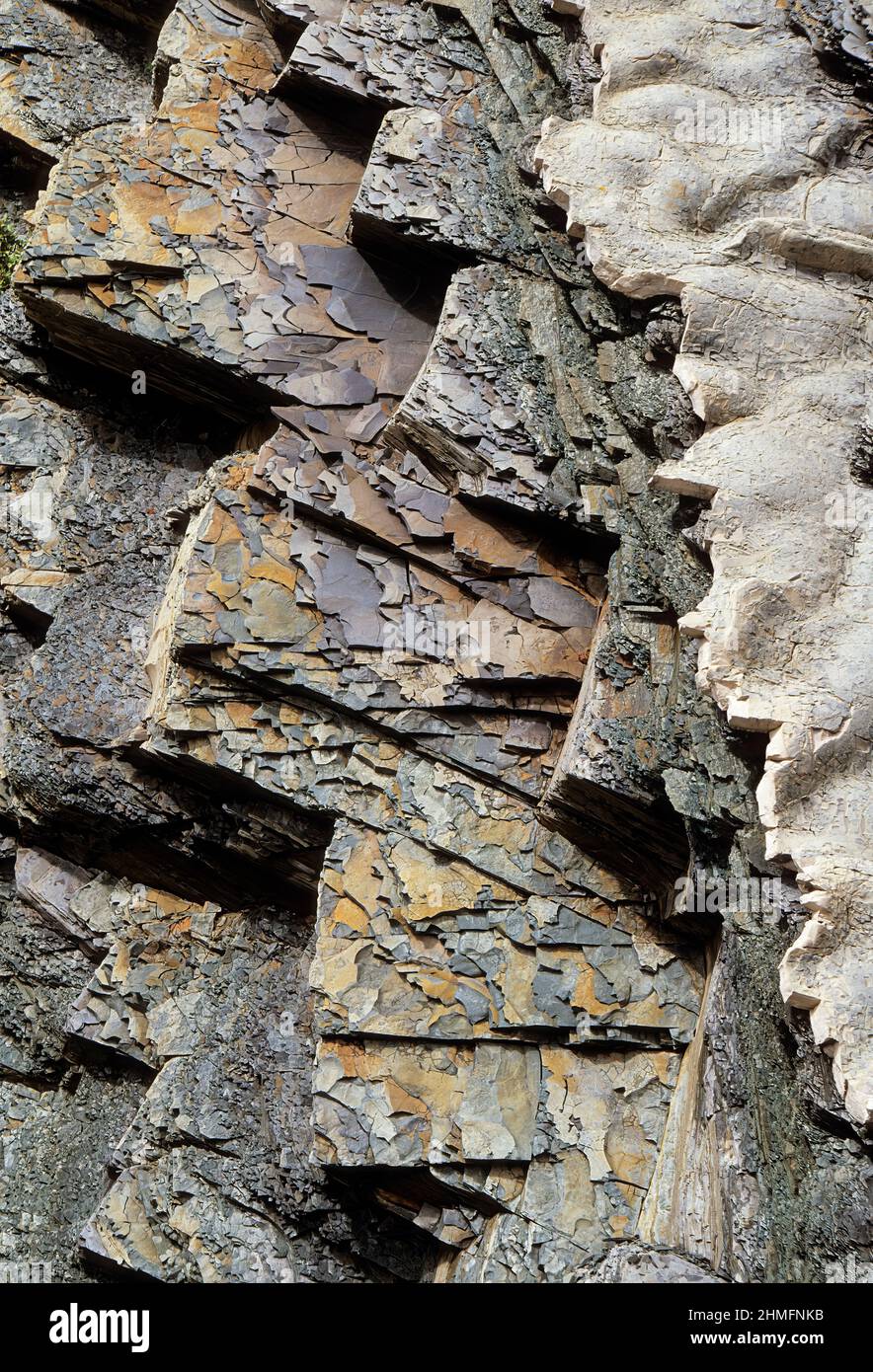 Les calcaires et les schistes superposés étaient de 115 degrés, vieux de 500 millions d'années, Green point, parc national du gros-Morne, Terre-Neuve, Canada. Banque D'Images