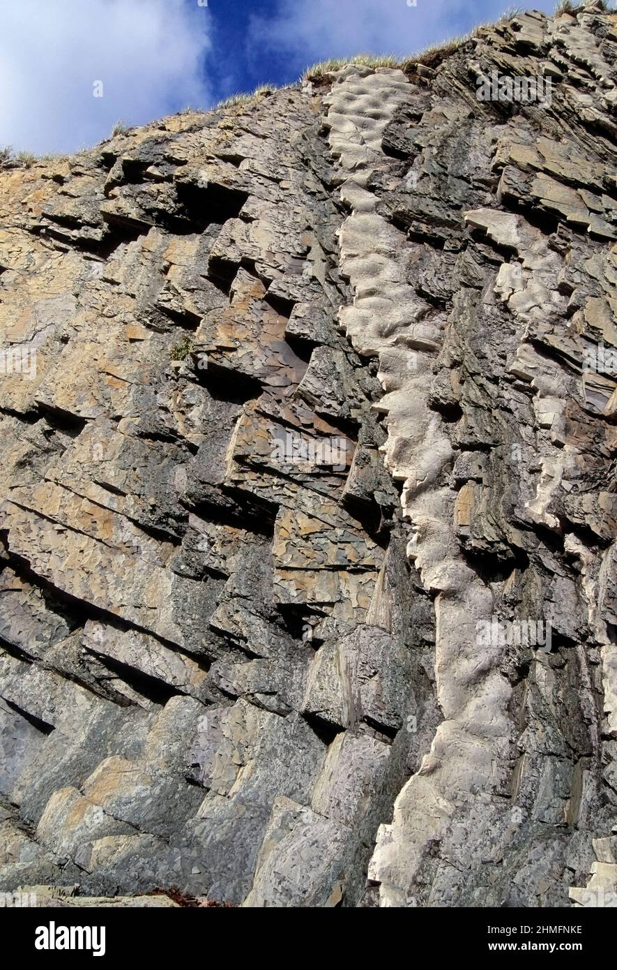 Les calcaires et les schistes superposés étaient de 115 degrés, vieux de 500 millions d'années, Green point, parc national du gros-Morne, Terre-Neuve, Canada. Banque D'Images