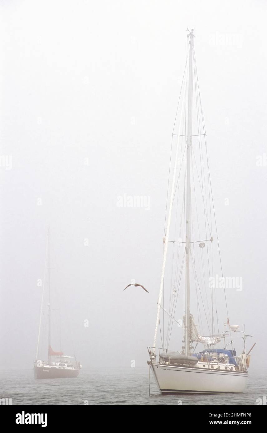 Voiliers ancrés dans le brouillard, Yarmouth, Nouvelle-Écosse, Canada Banque D'Images