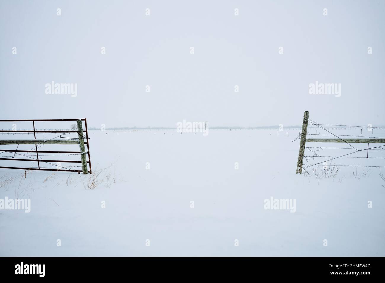 Vue tranquille dans la clôture avec champ couvert de neige Banque D'Images