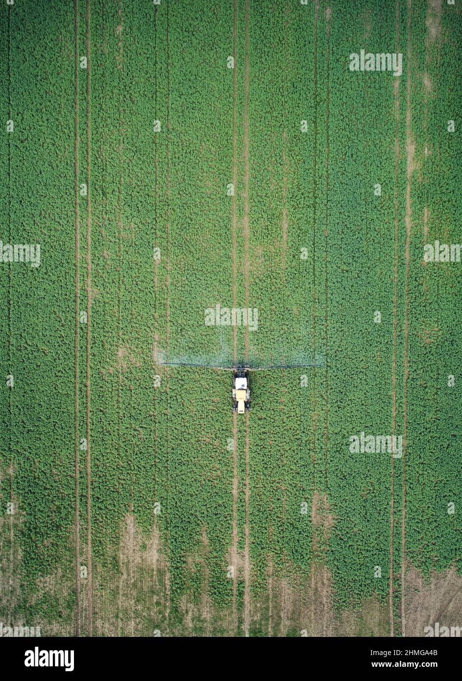 Un tracteur applique des pesticides sur un champ vert au-dessus de la vue du dessus du drone Banque D'Images Un tracteur applique des pesticides sur un champ vert au-dessus de la vue du dessus du drone Banque D'Images