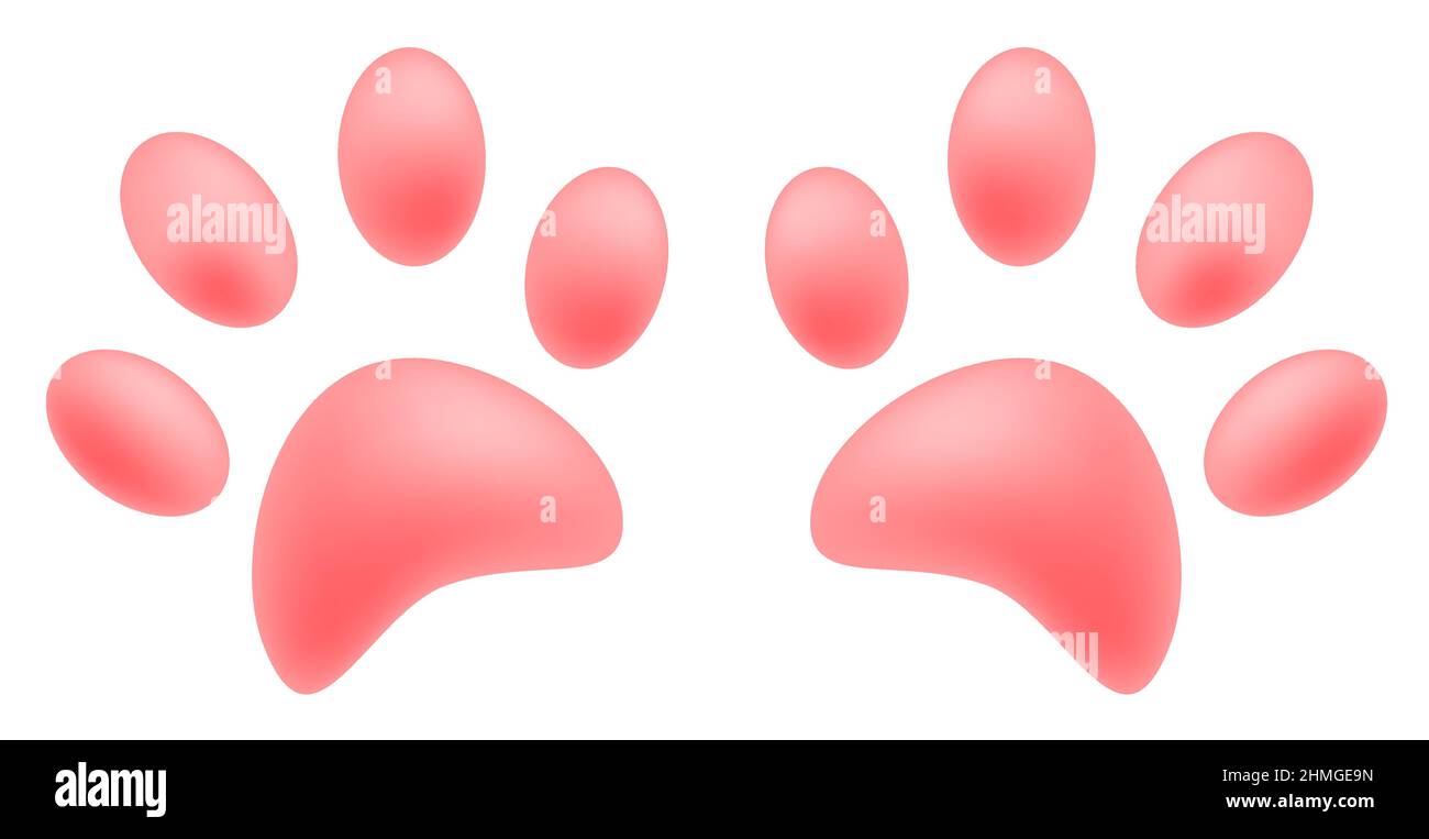 rose des coussinets de pattes de chat. Imprimé paw animal sur le sol. vecteur 3d isolé sur fond blanc Illustration de Vecteur