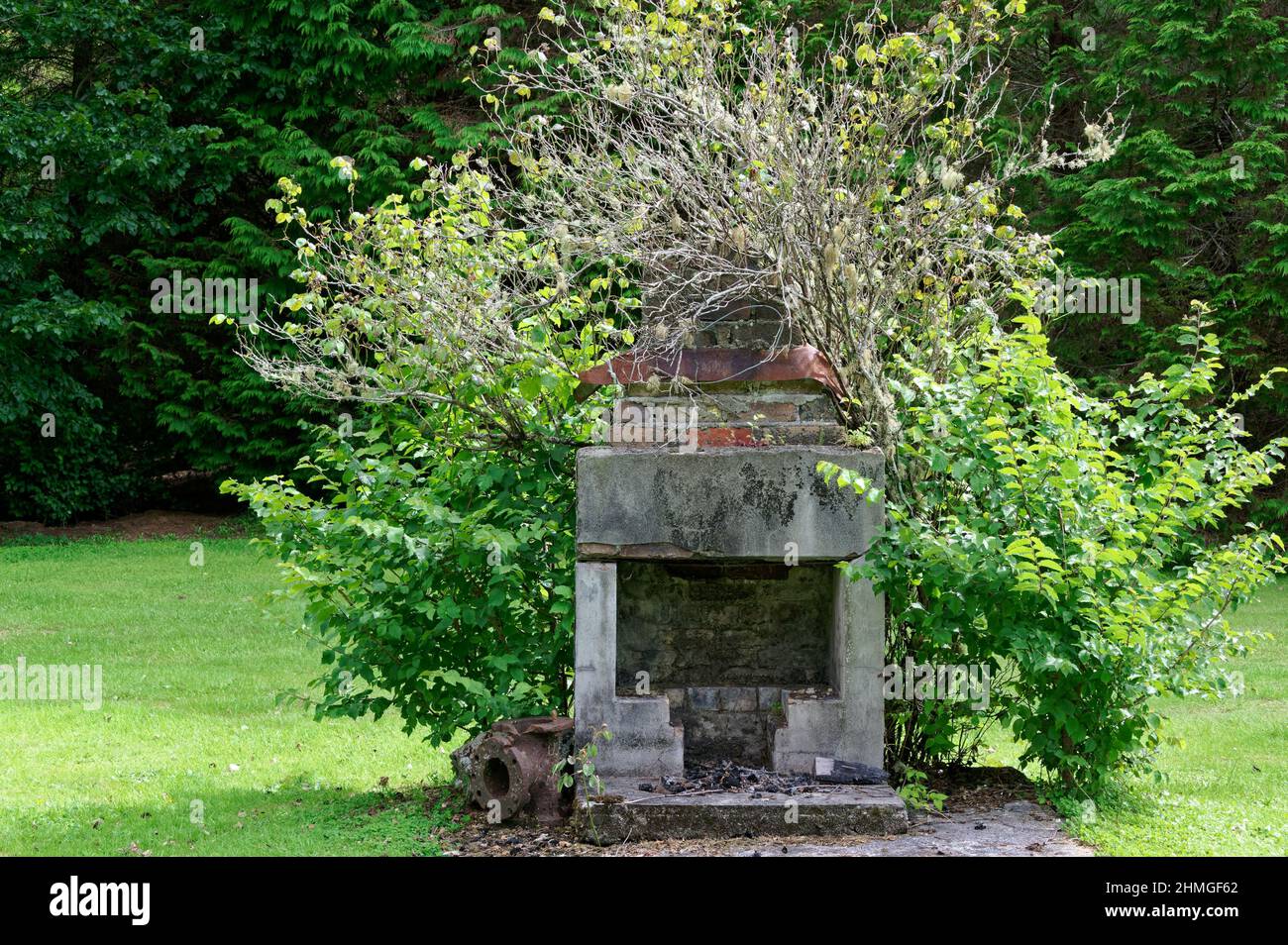 La nature est la récupération d'un vieux barbecue en briques et en béton ou d'un foyer. Banque D'Images