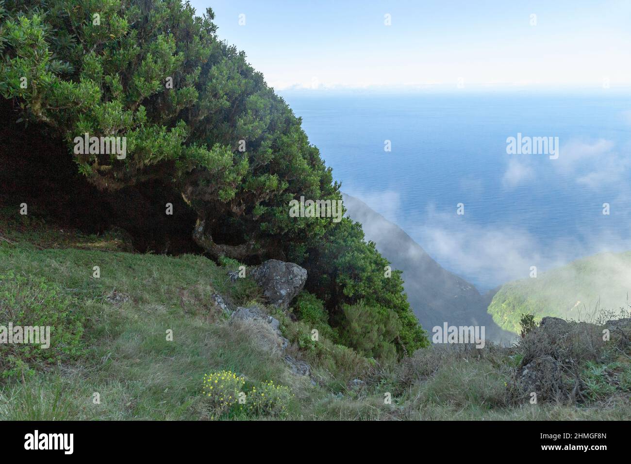 MADÈRE, PORTUGAL - 27 AOÛT 2021 : vue sur l'océan Atlantique depuis un plateau de haute montagne, sur les pentes dont il y a une forêt relict Banque D'Images