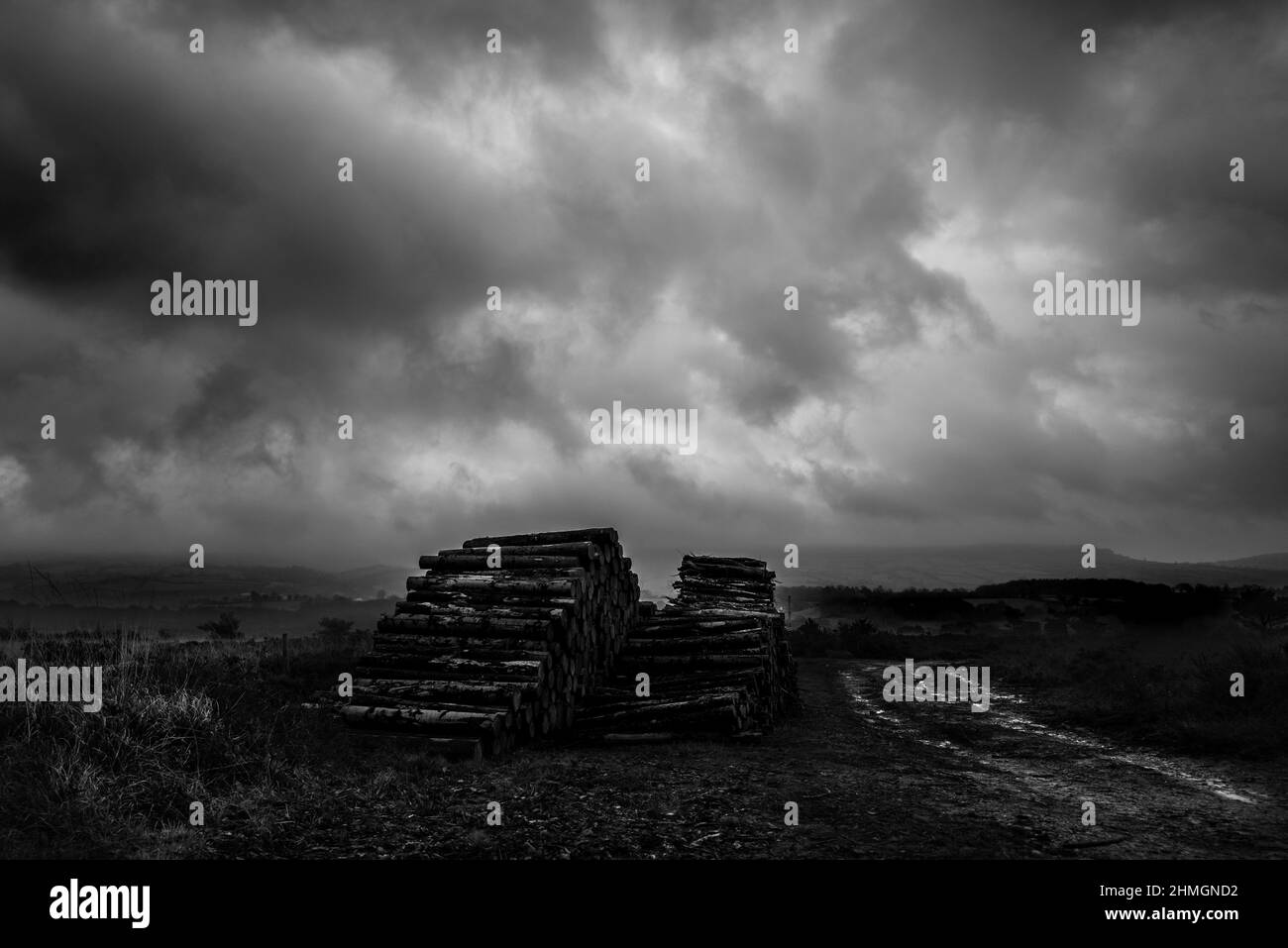 Paysages du Devon Banque D'Images