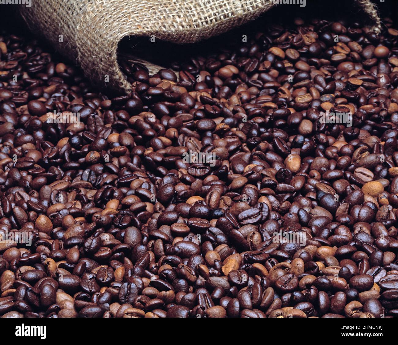 Encore la vie. Nourriture. Grains de café. Banque D'Images