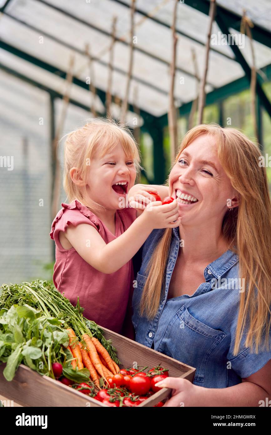 Mère avec fille en train de faire un visage drôle avec des tomates à la maison en serre Banque D'Images