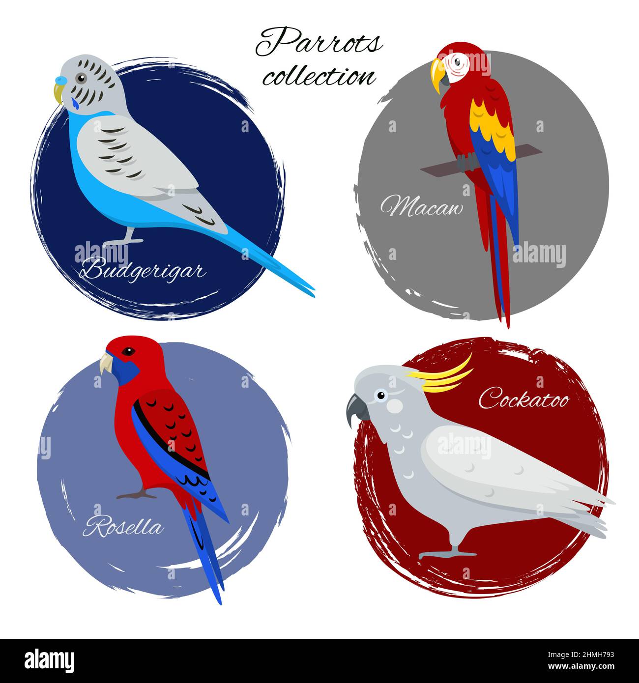 Icône perroquet colorée de style plat. Budgerigar, macaron, rosella pourpre et perroquets de cacatoès. Illustration de Vecteur