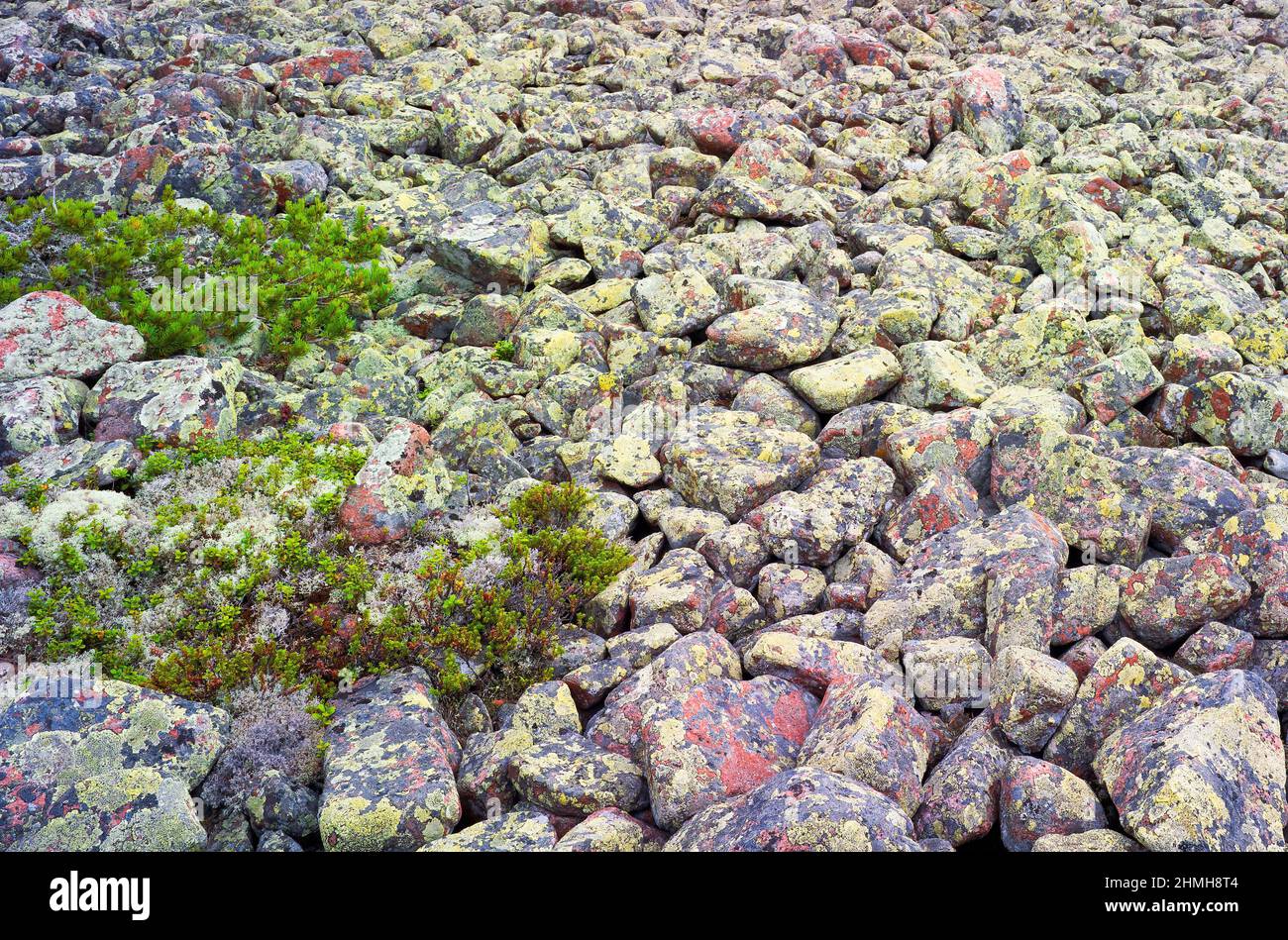 Europe, Suède, Nord de la Suède, province d'Angermanland, patrimoine naturel mondial de l'UNESCO 'Höga Kusten' Banque D'Images
