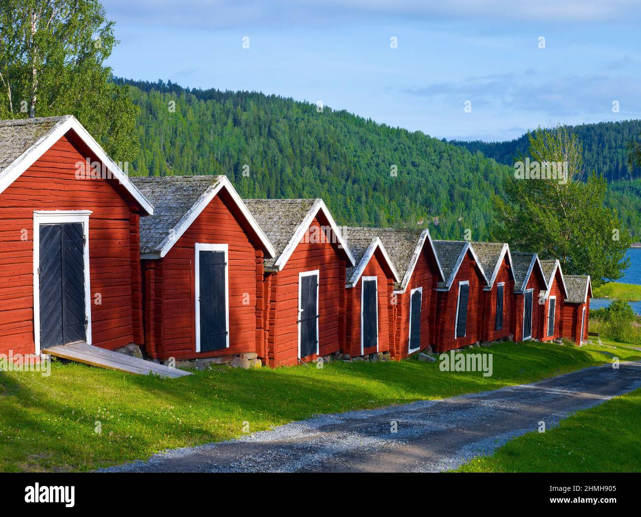 Europe, Suède, Nord de la Suède, province d'Angermanland, patrimoine naturel mondial de l'UNESCO 'Höga Kusten', serres près de Nordingra Banque D'Images