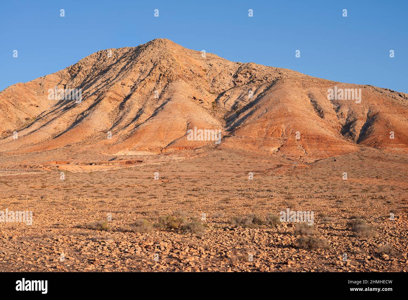 Paysage désertique à Tindaya, Fuerteventura, îles Canaries, Espagne Banque D'Images