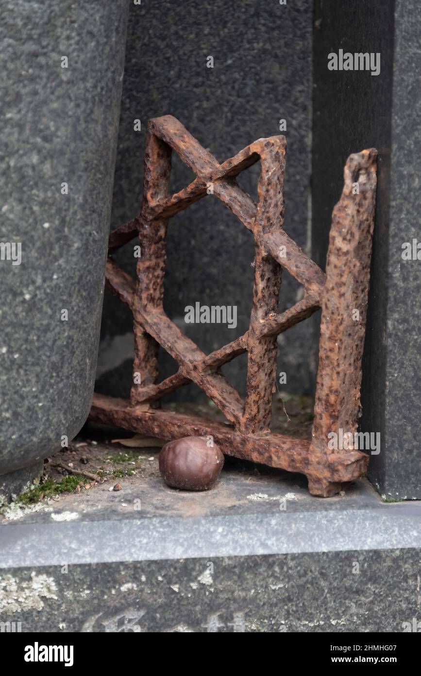 Allemagne, Saxe-Anhalt, Magdebourg, cimetière juif, une étoile de David peut être vu à un emplacement de tombe. Banque D'Images