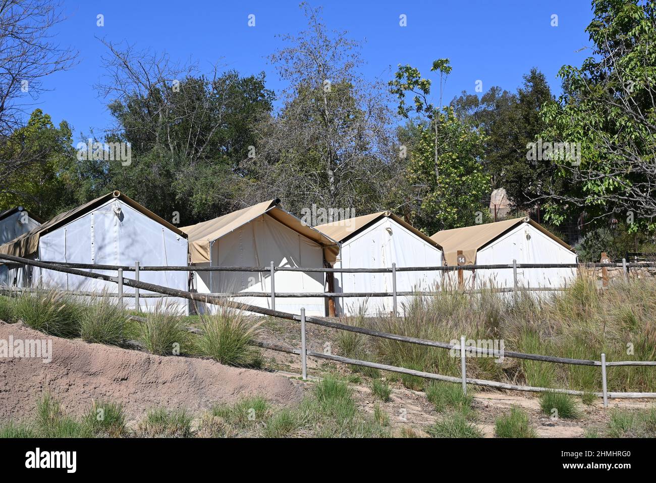 ESCONDIDO, CALIFORNIE - 9 FÉVRIER 2022 : tentes réservées aux clients au terrain de camping Roar and Snore au San Diego Zoo Safari Park, où les clients peuvent passer la nuit dans le Banque D'Images