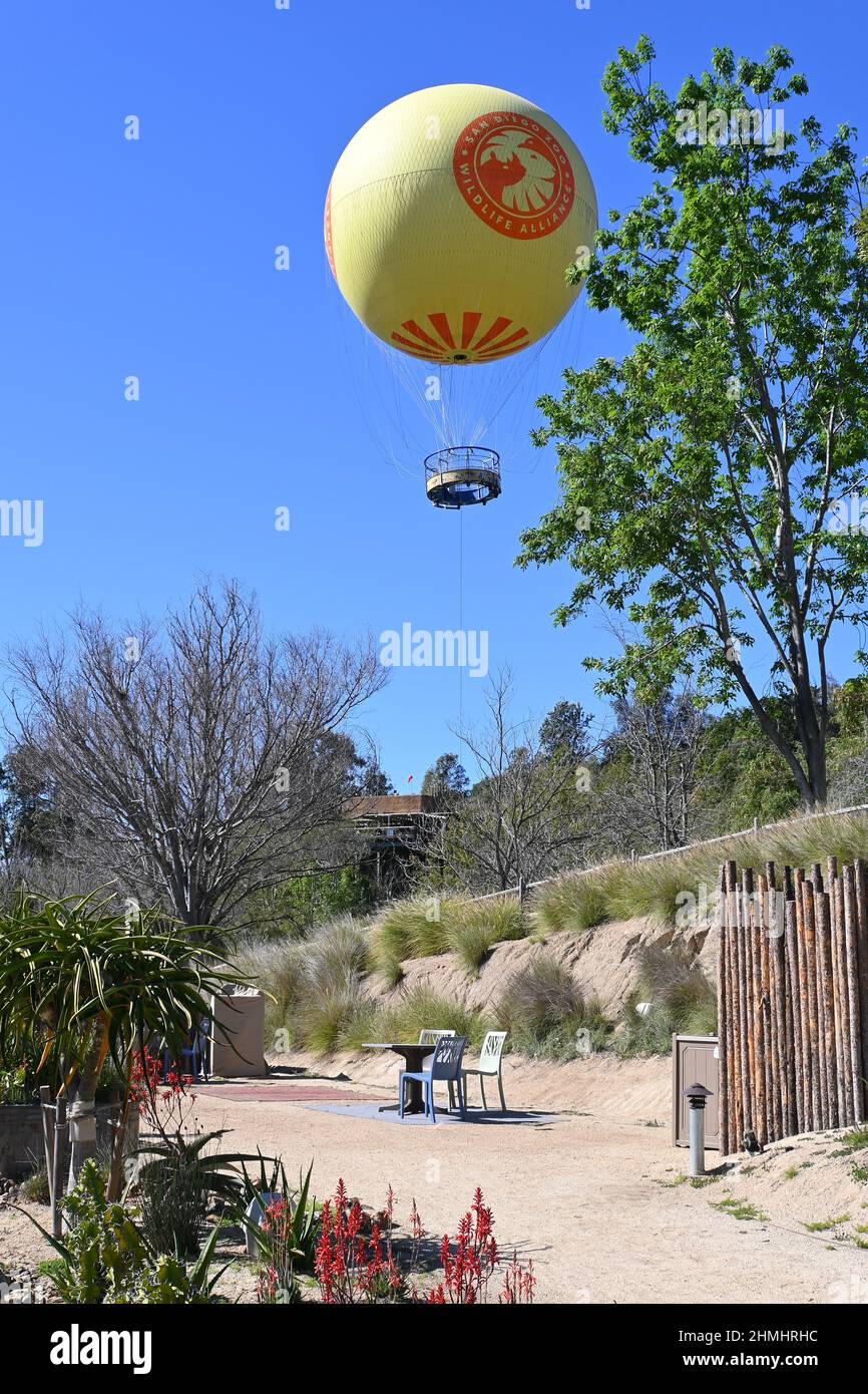 ESCONDIDO, CALIFORNIE - 9 FÉVRIER 2022 : safari en montgolfière une promenade serrée s'élève au-dessus du parc de safari du zoo de San Diego. Banque D'Images