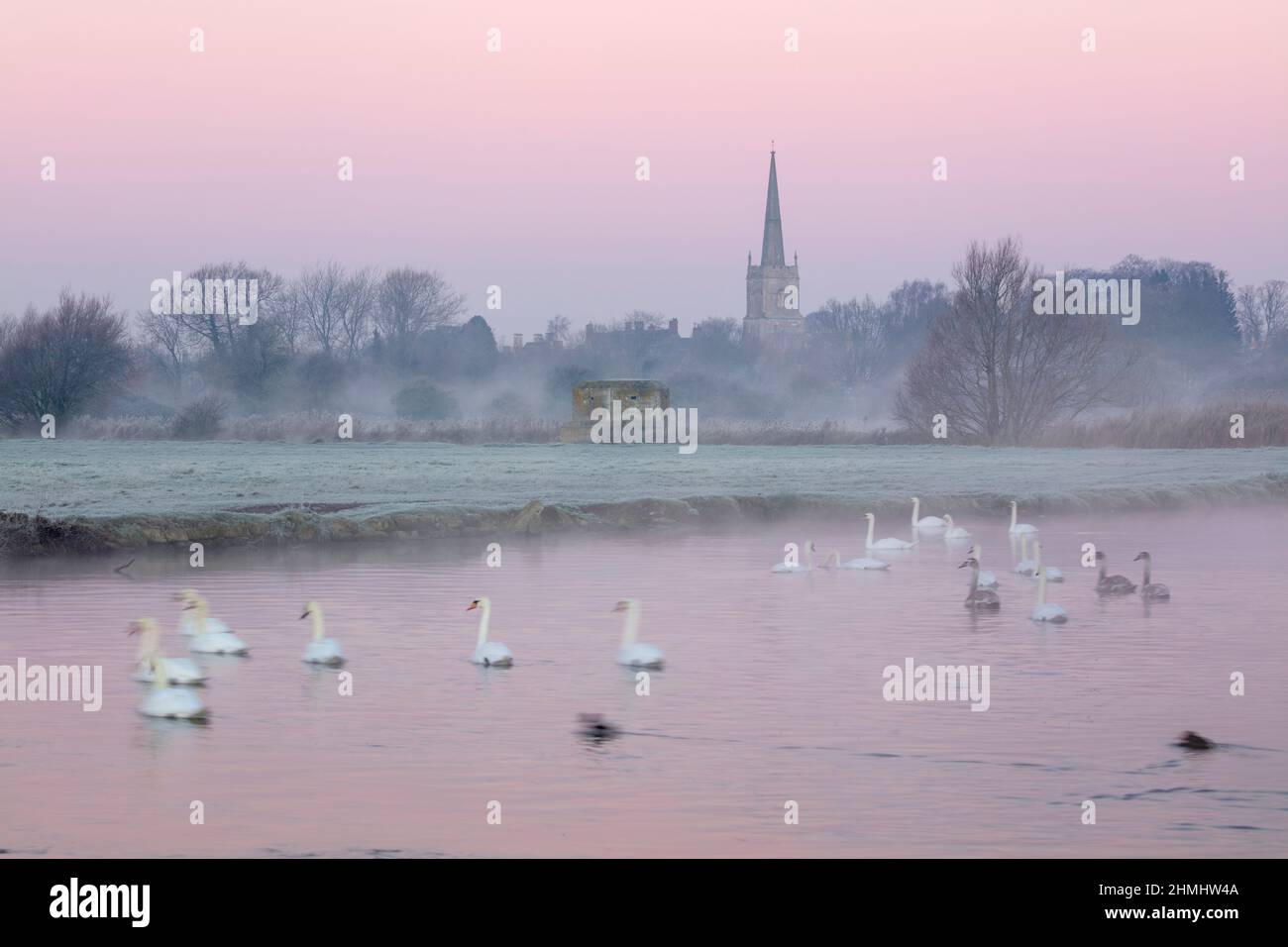 Église Saint-Laurent avec cygnes sur la Tamise en brume hivernale à l'aube, Lechlade-sur-Tamise, Cotswolds, Gloucestershire, Angleterre, Royaume-Uni Banque D'Images