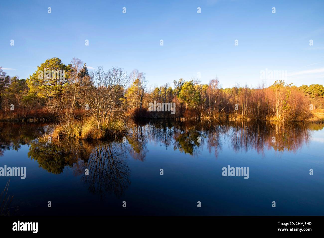 Après-midi soleil à Milton Loch dans le bateau de Garten, Badenoch et Strathspey, Écosse, Royaume-Uni Banque D'Images