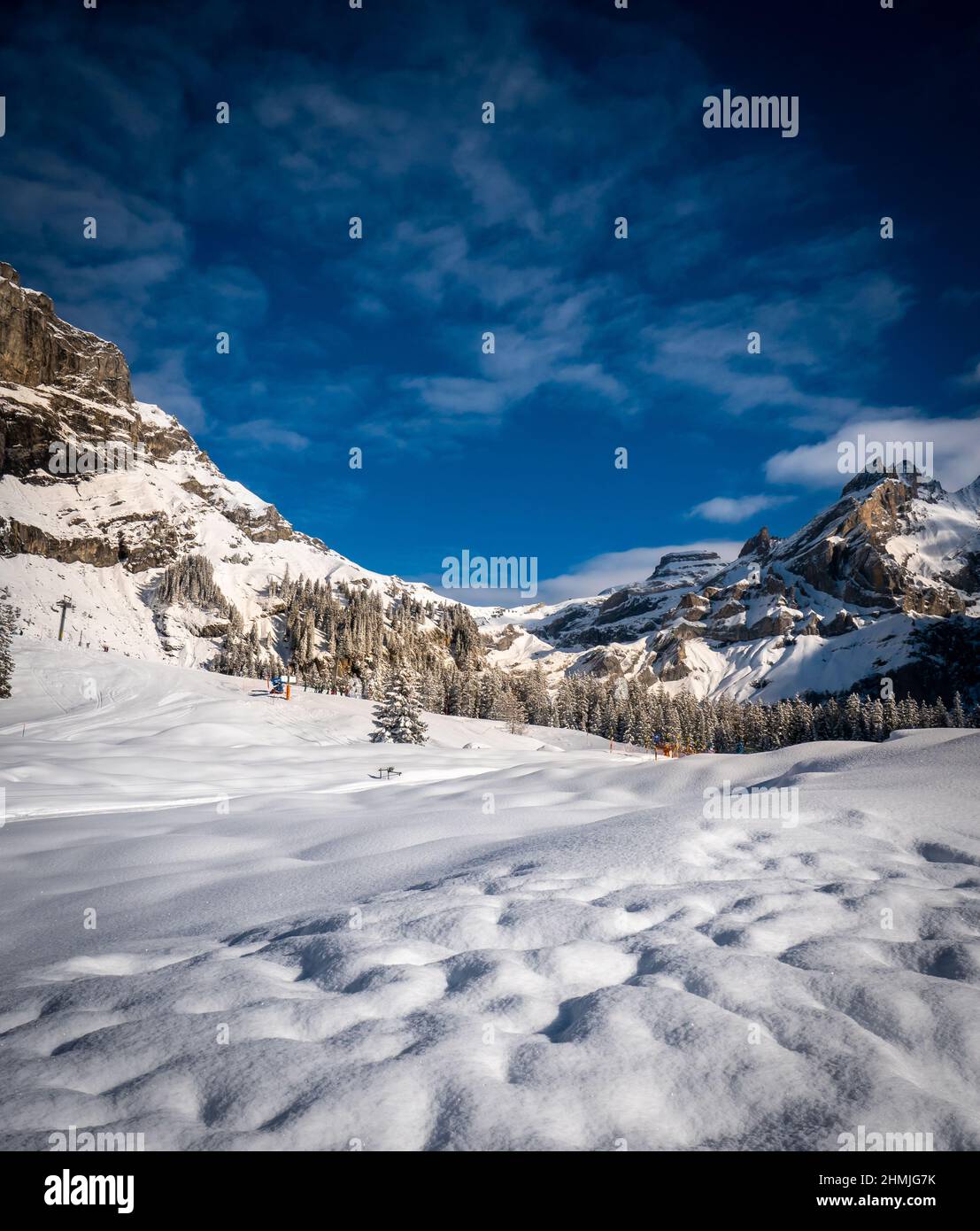 Vue panoramique sur le paysage suisse enneigé, avec montagnes et arbres en arrière-plan Banque D'Images