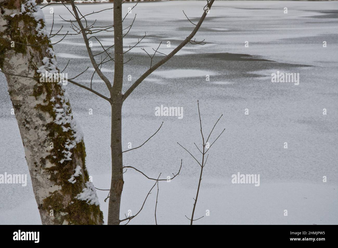 Betrieb einer Schätzung und vertrieb von wohnungen im bereich Banque D'Images