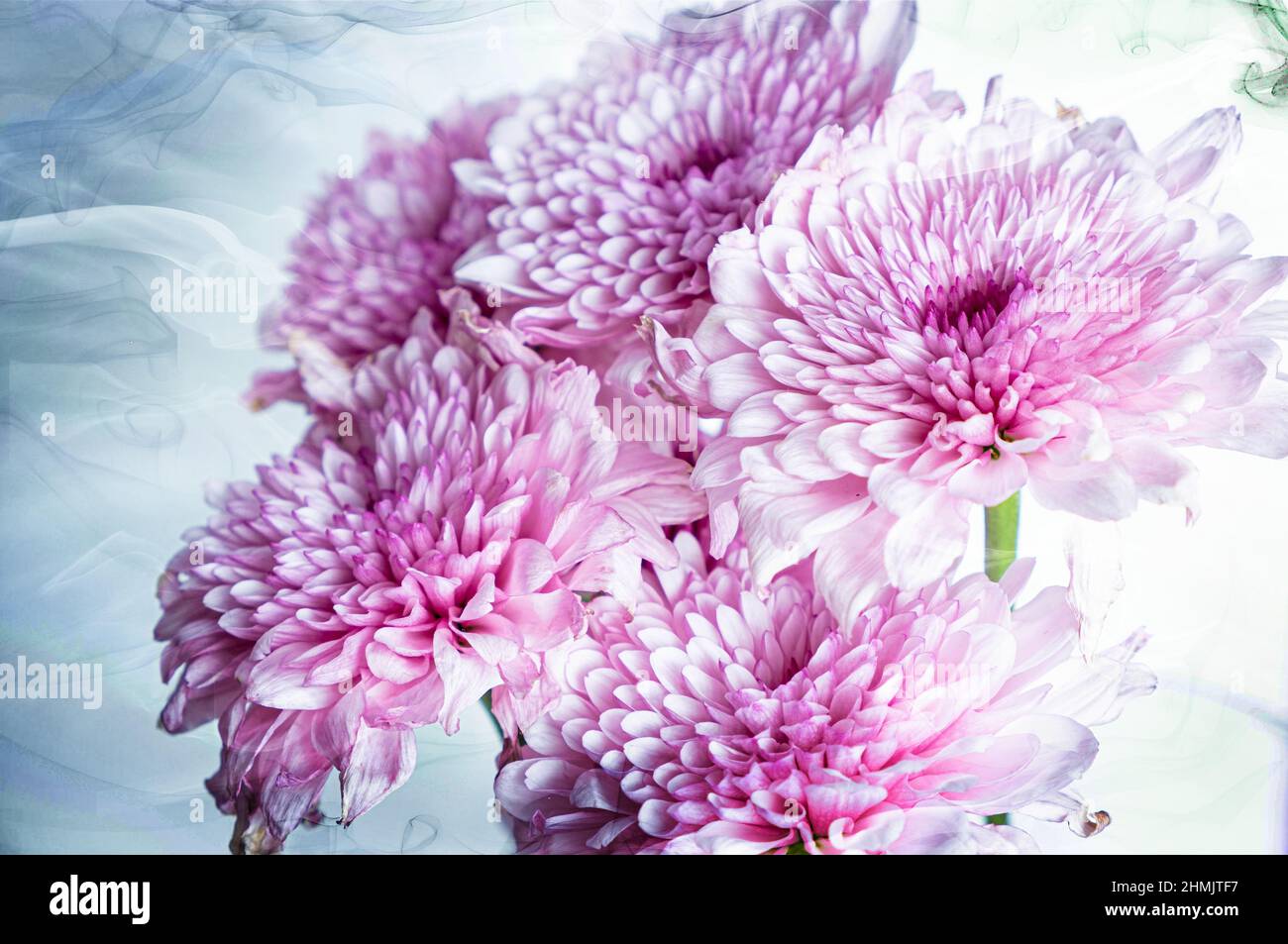 Wall Art Images of Flowers ensuite traitées comme des images de beaux-arts avec un logiciel de montage. Images idéales pour les types Banque D'Images
