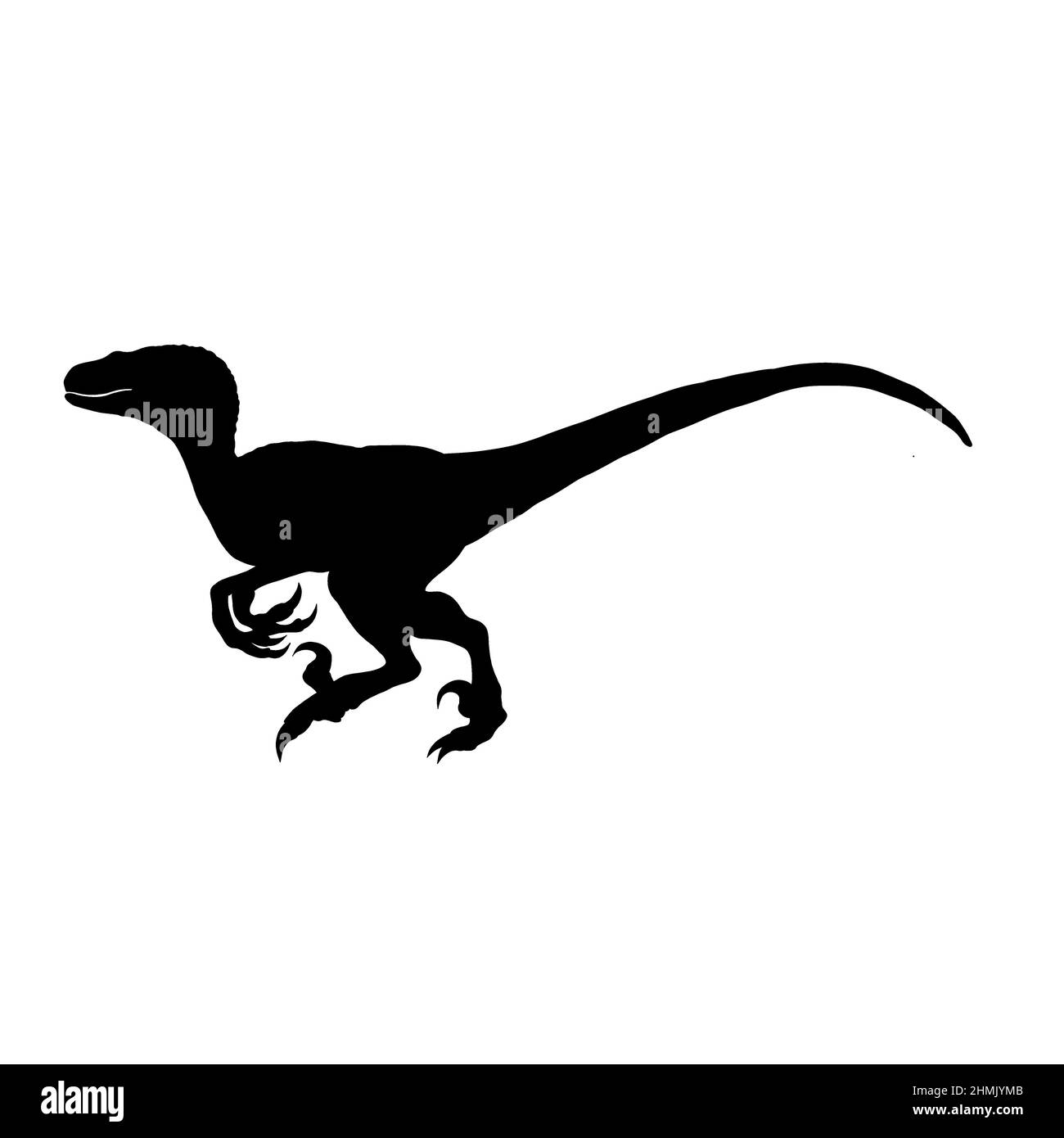 silhouette de raptor, illustration noire pour tatouage Banque D'Images