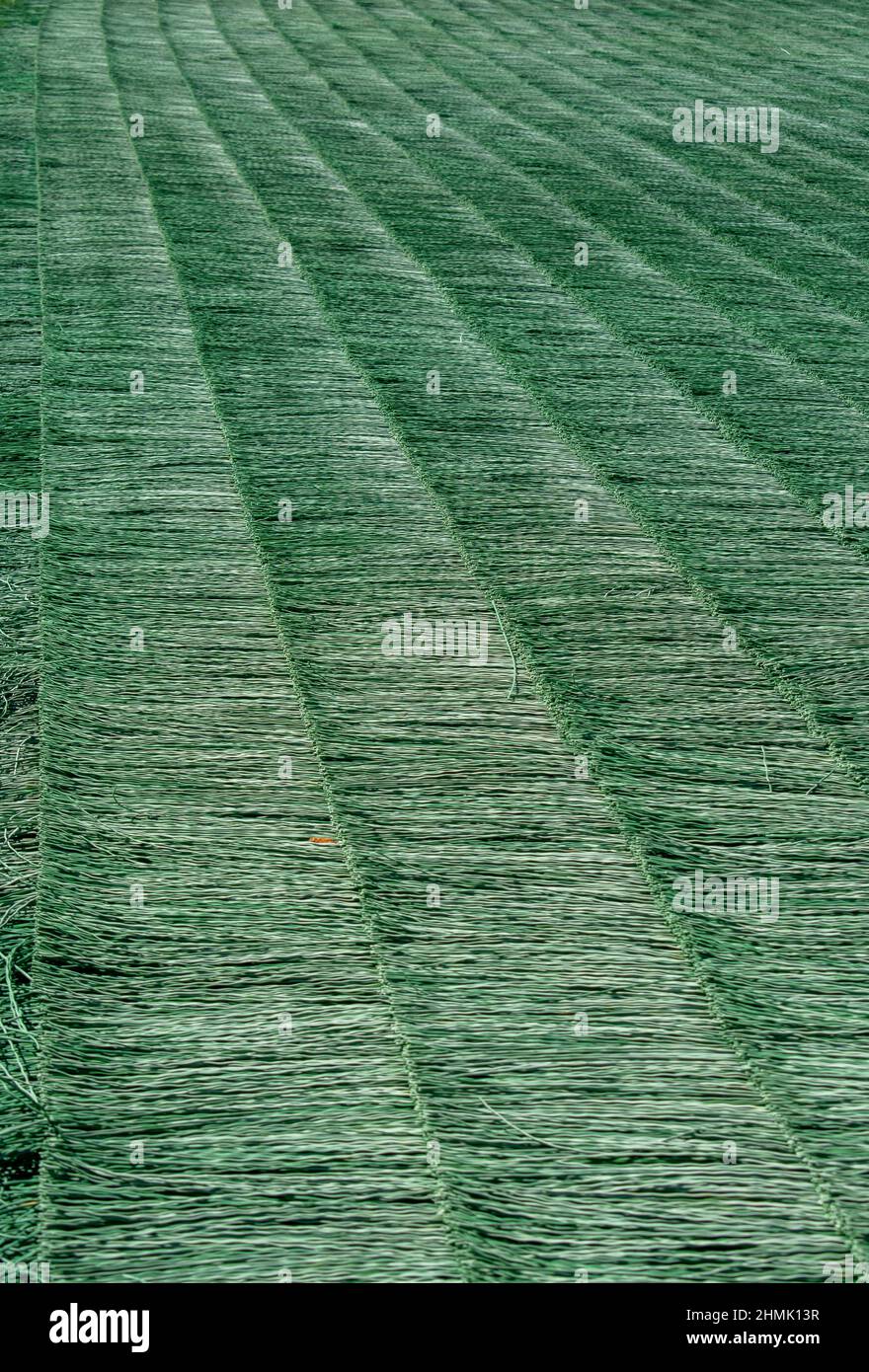 Surface artificielle pour le saut à ski en été. Poils en plastique vert minuscules. Banque D'Images