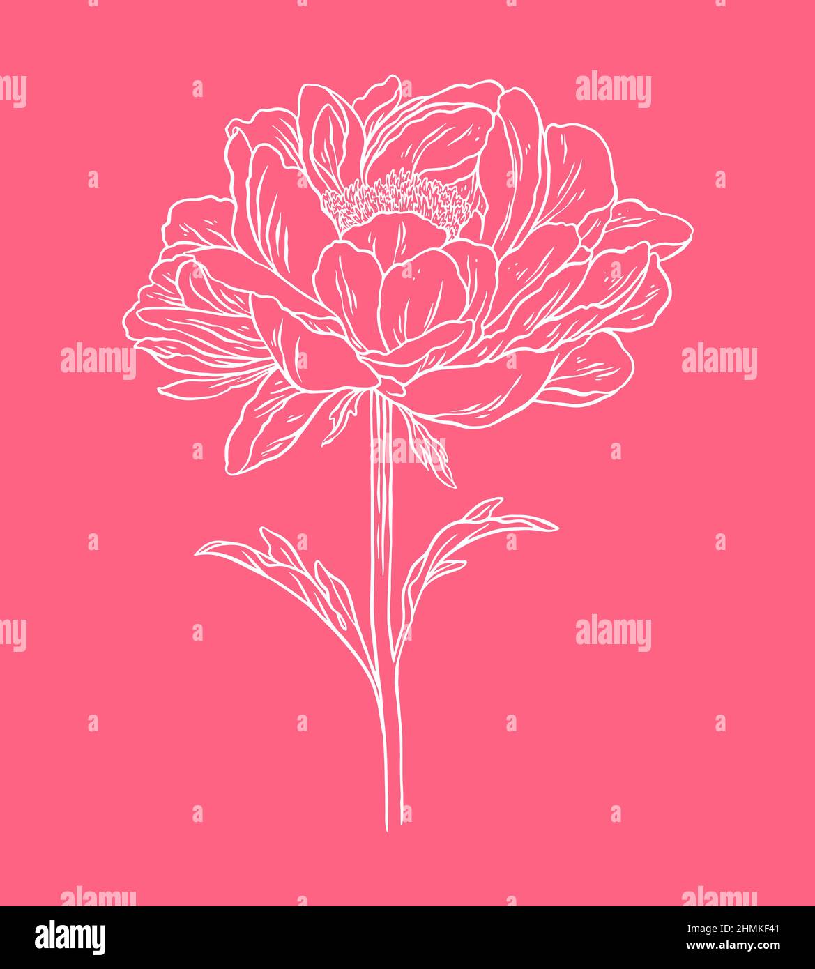 Belle illustration d'esquisse d'art de ligne de fleur de pivoine, belle illustration d'esquisse d'art de ligne de fleur de rose Illustration de Vecteur