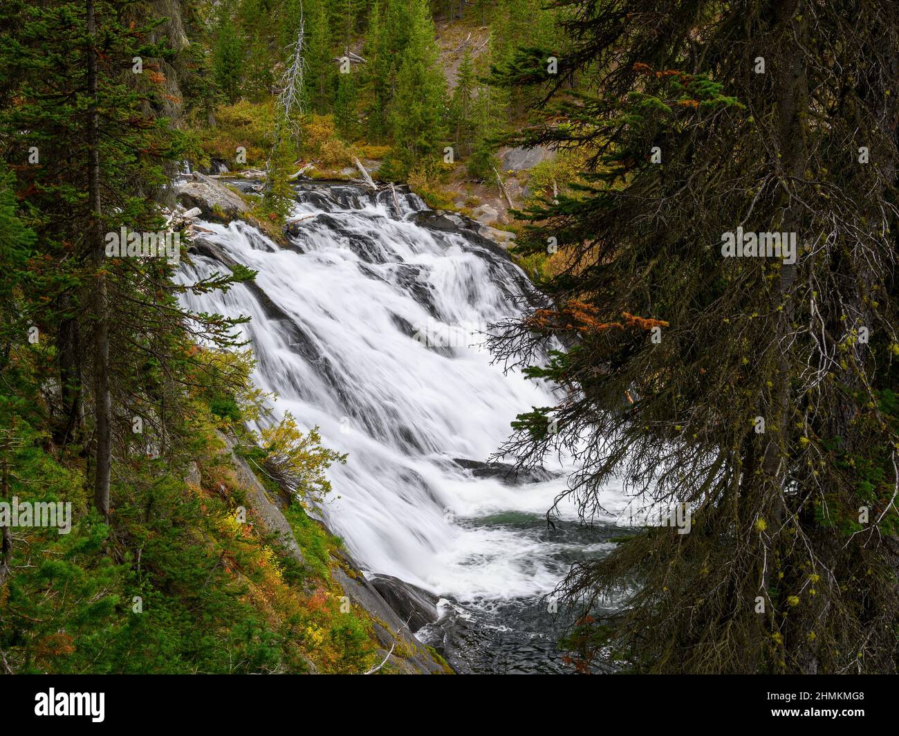 Lewis Falls, parc national de Yellowstone, Wyoming. Banque D'Images