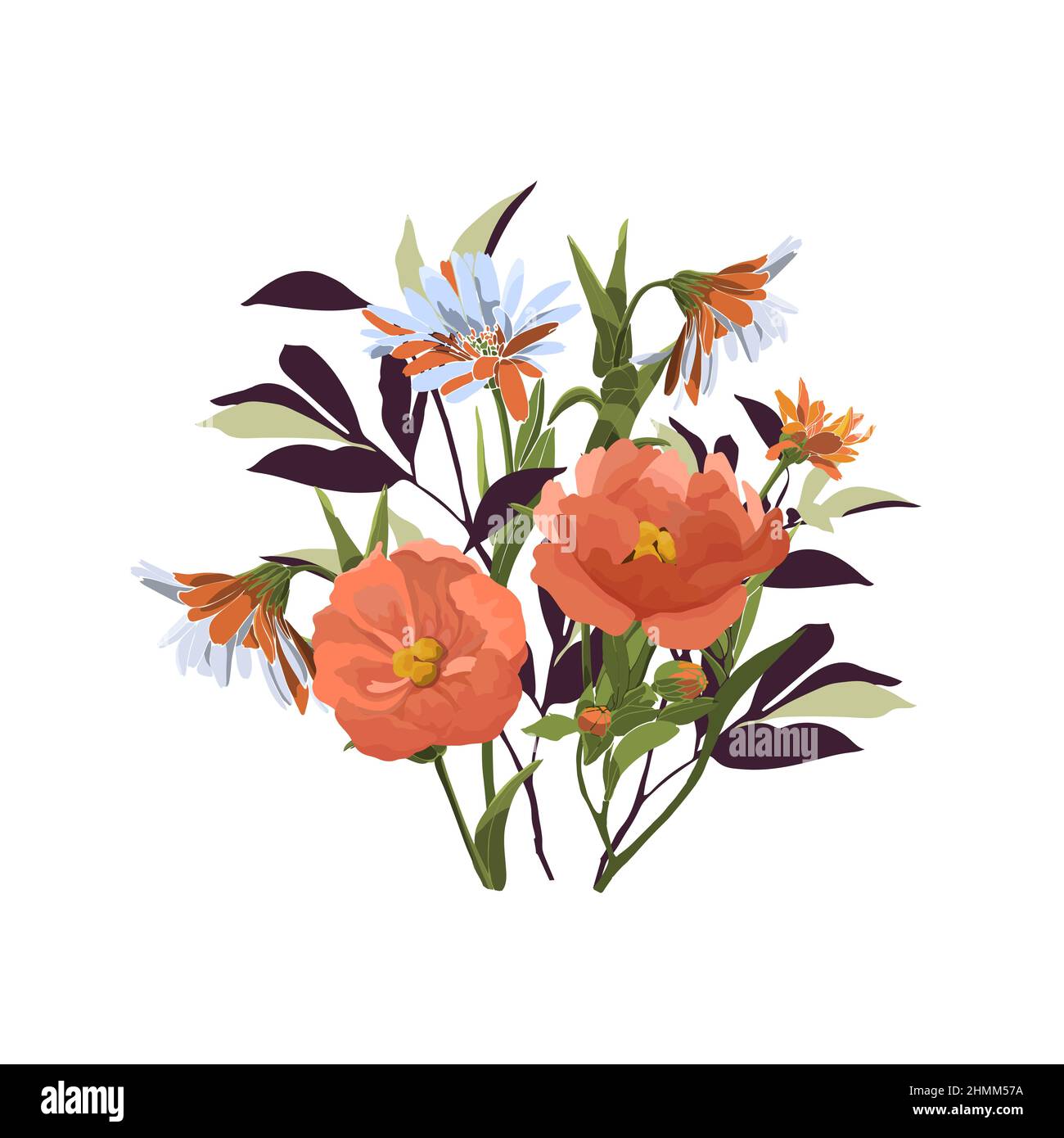 Illustration florale vectorielle. Bouquet de fleurs, feuilles et herbes de couleur orange et corail sur fond blanc. Illustration de Vecteur