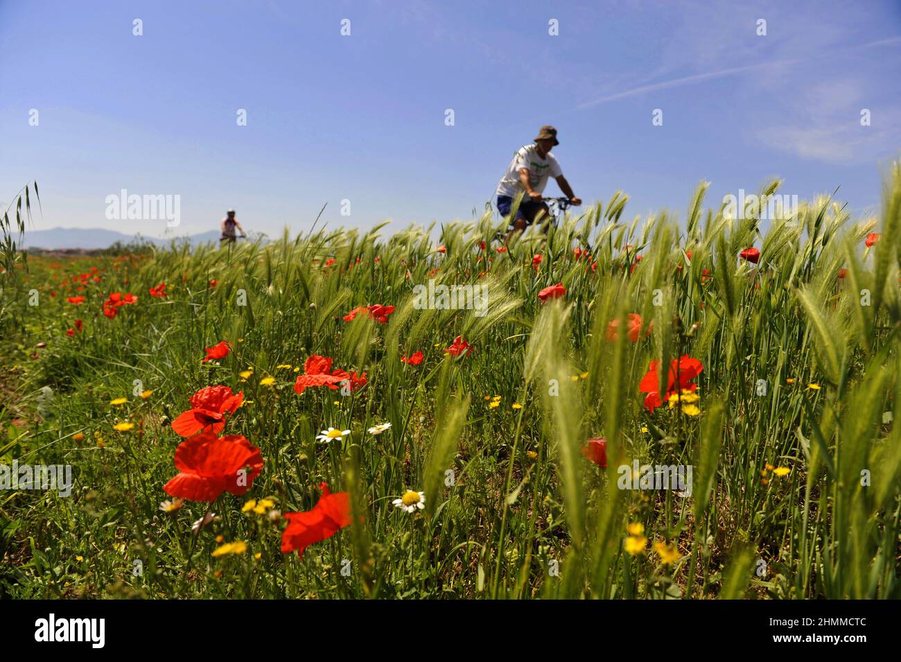 france pyrénées orientales Pyerenees orientales ballade de printemps à vélo Banque D'Images