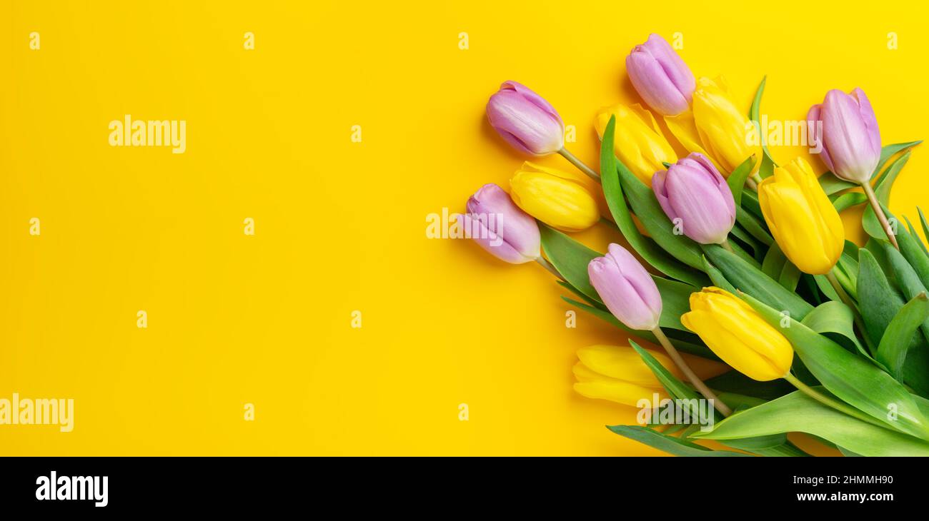 Fond floral printanier avec tulipes multicolores sur fond jaune.Vue de dessus.Copier l'espace Banque D'Images