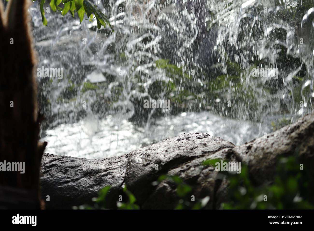 Eau en cascade, roche humide près des chutes et de la végétation Banque D'Images