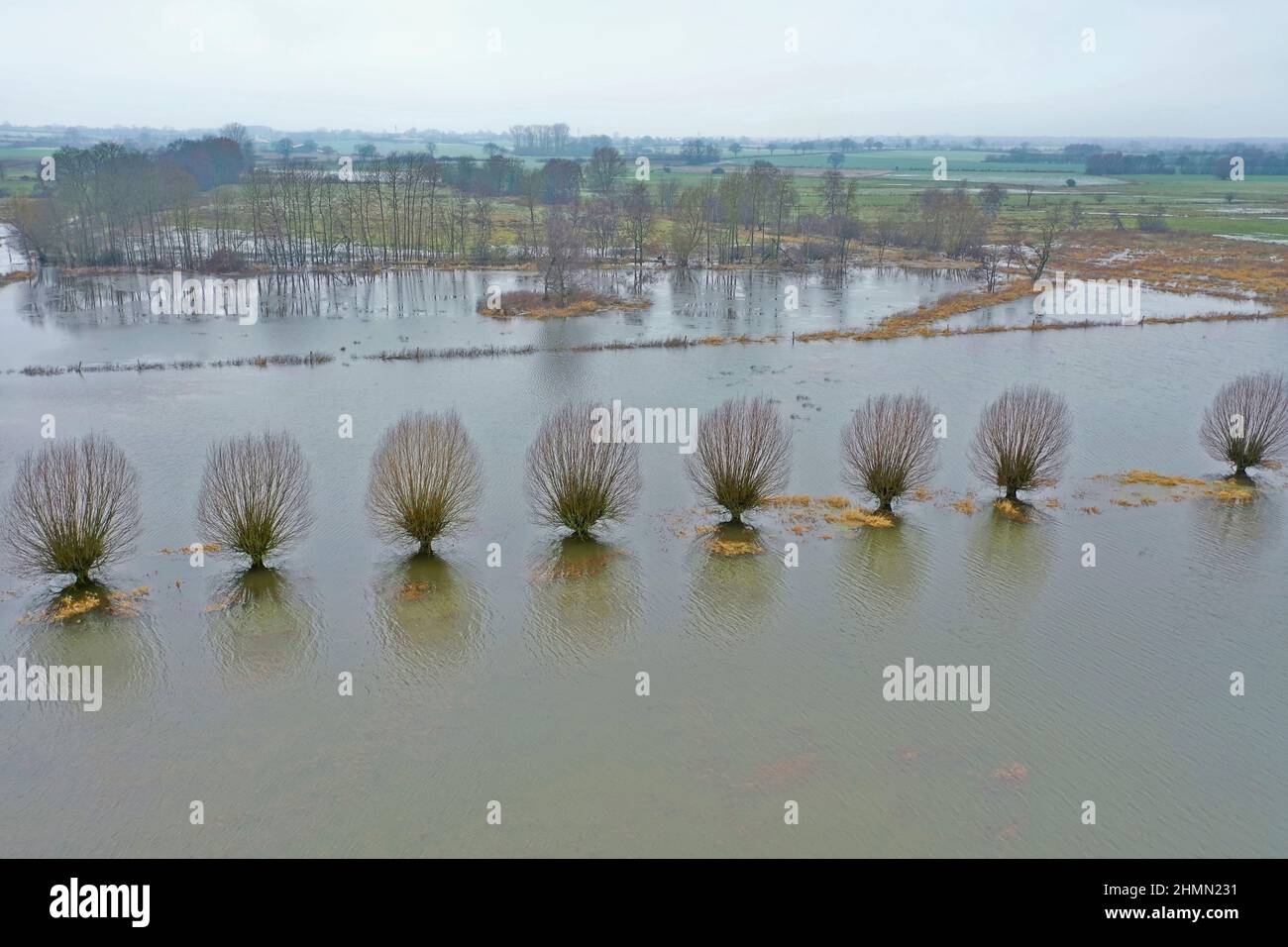 Duvensee tourbière en haute eau en janvier 2022, image de drone, Allemagne, Schleswig-Holstein Banque D'Images