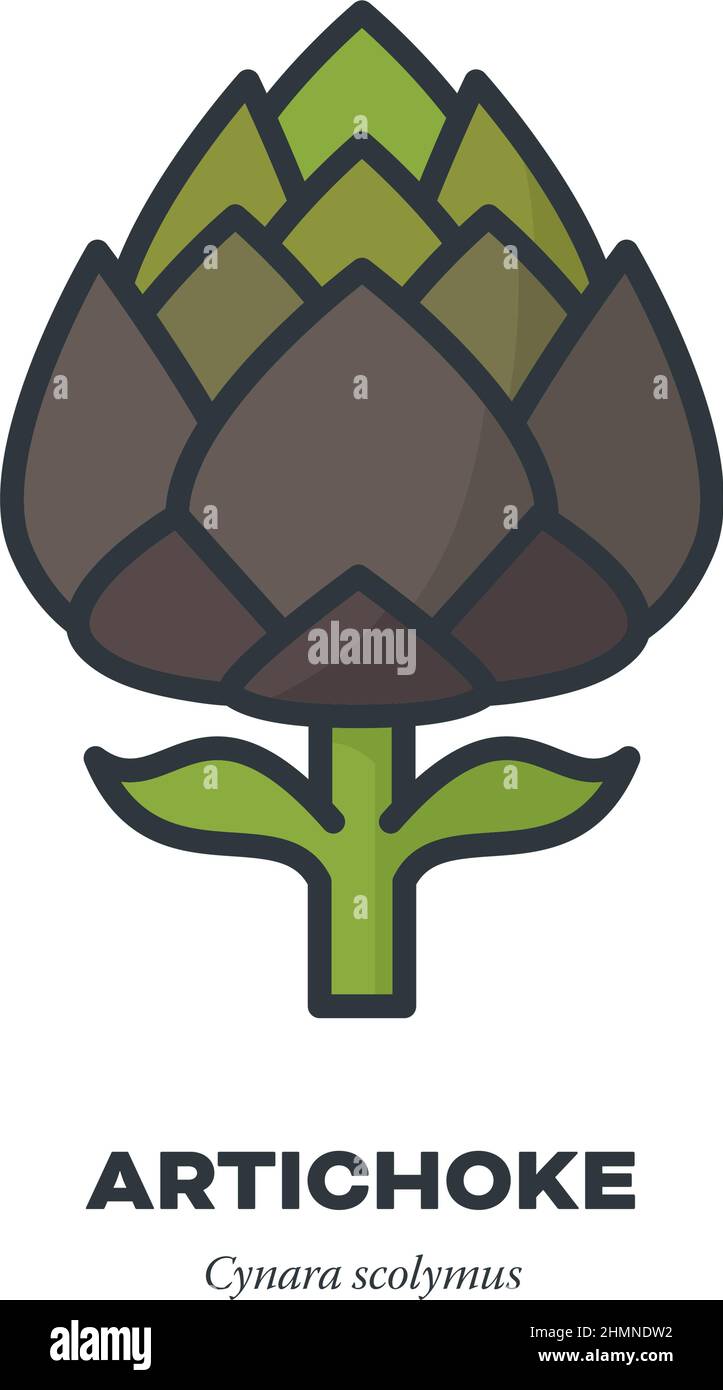 Icône de légume de bourgeons d'artichaut, contour avec illustration vectorielle de style de remplissage de couleur Illustration de Vecteur