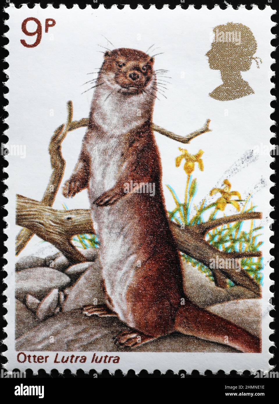 Loutre européen sur timbre-poste britannique Banque D'Images
