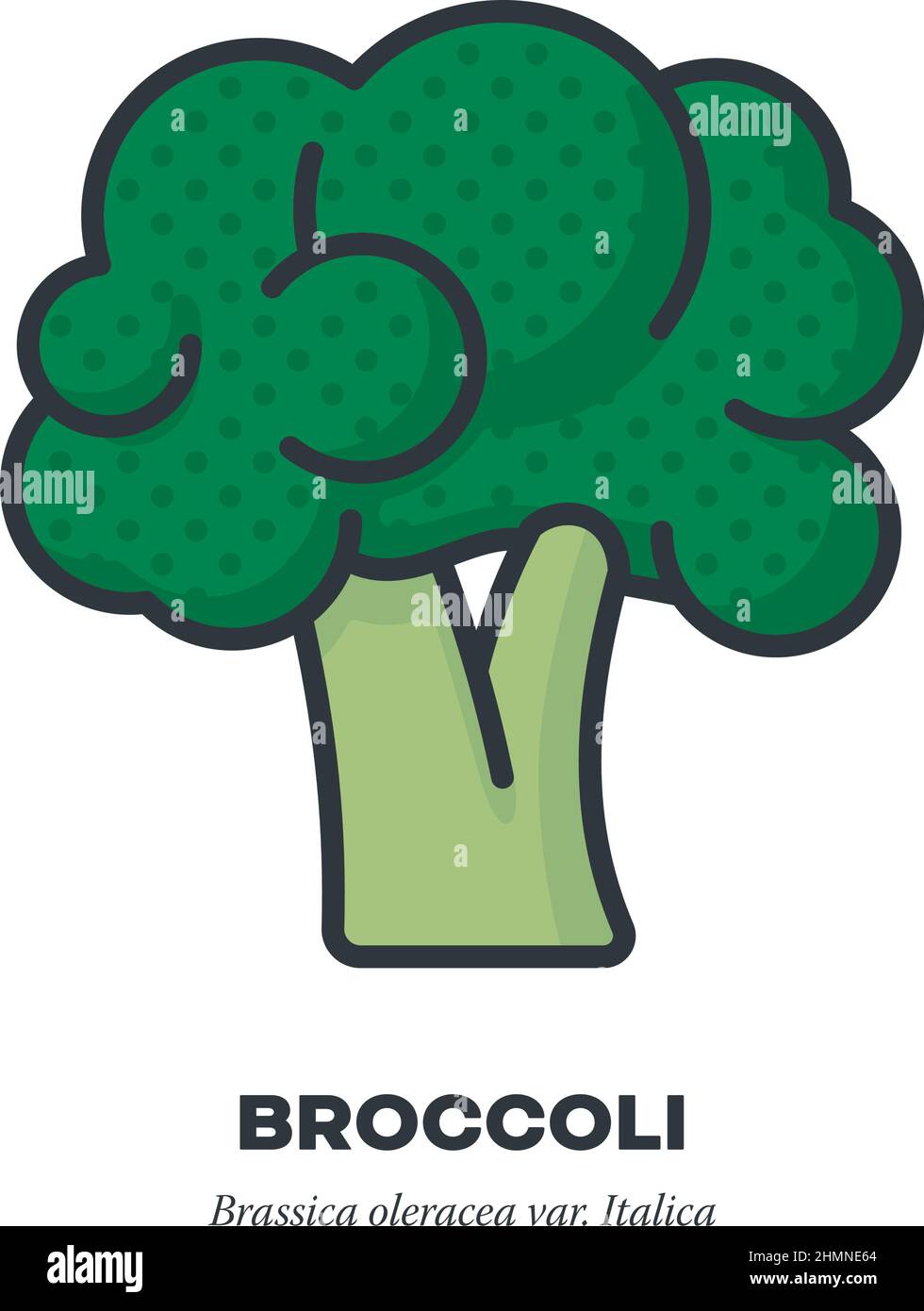 Icône de légume de chou brocoli, contour avec illustration vectorielle de style de remplissage de couleur Illustration de Vecteur