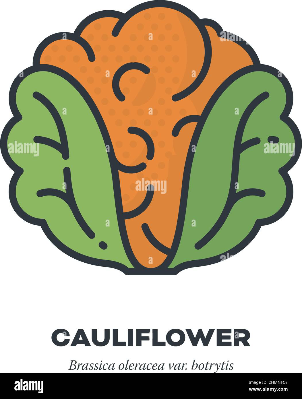 Icône de légume de chou-fleur orange, contour avec illustration vectorielle de style de remplissage de couleur Illustration de Vecteur