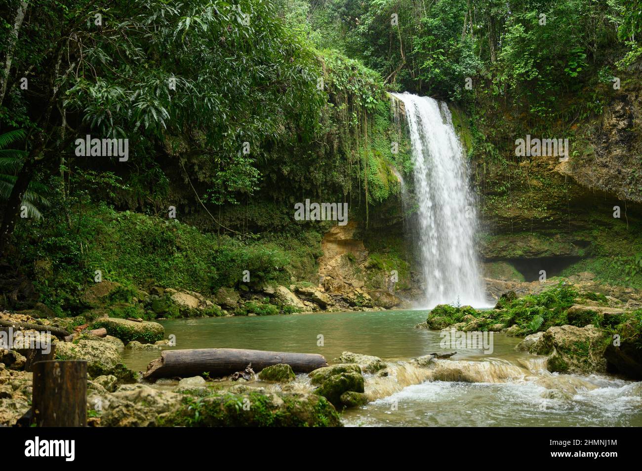 Rivière de montagne et cascade HD. Flux d'eau. En dessous se trouve un miroir parfaitement transparent. L'espace extérieur est plein de verdure tropicale. Cascade tropicale est Banque D'Images