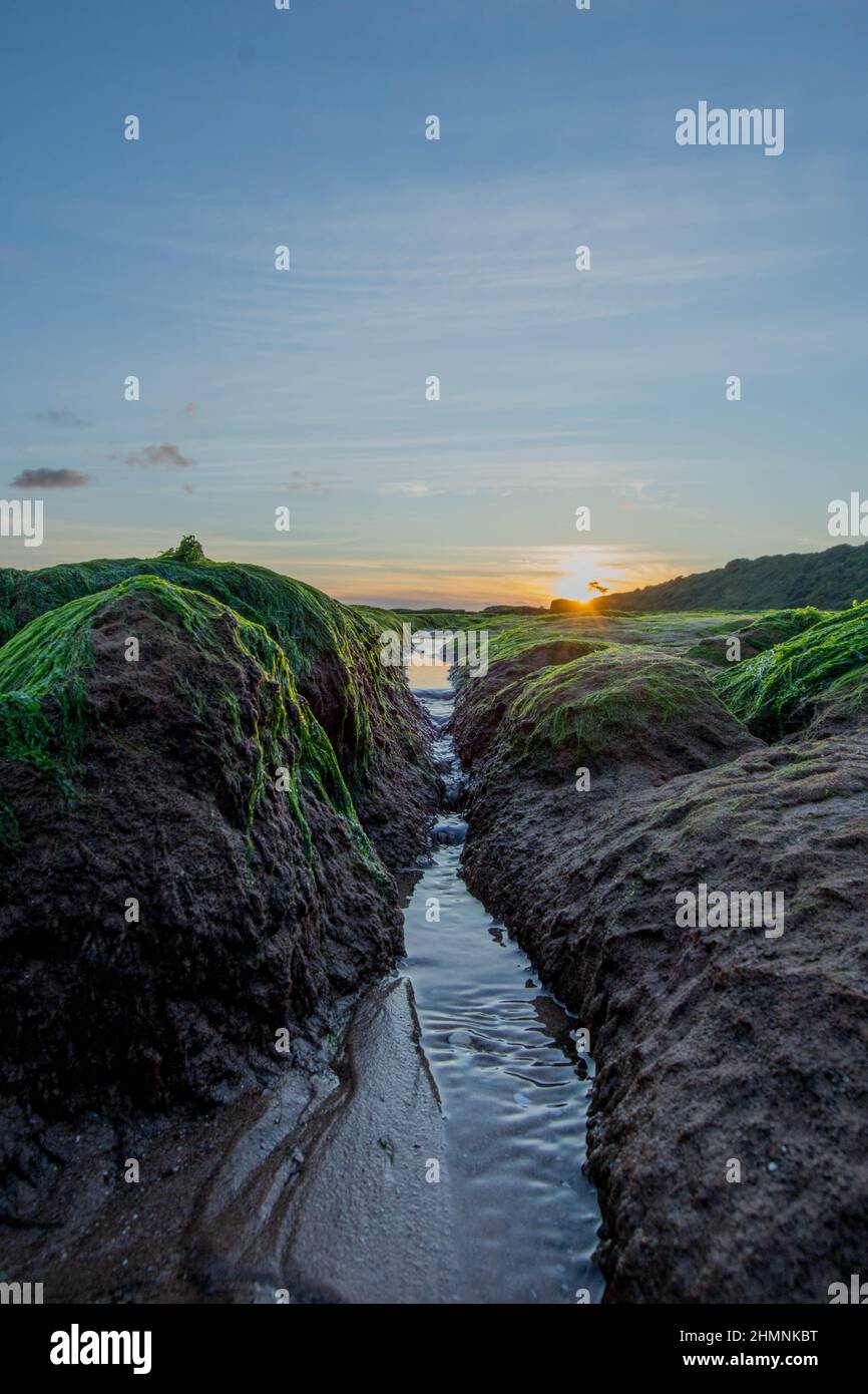 Devon coast Banque D'Images