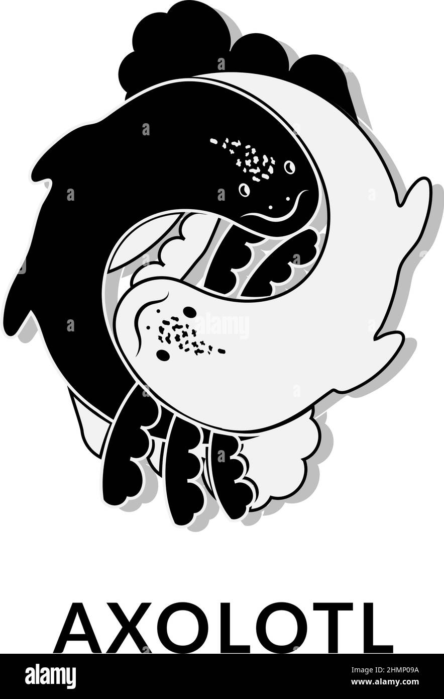 Mignon axolotl, Ambystoma mexicanum, icône de vecteur en monochrome. Yin et Yang. Axolotl blanc et noir. Illustration de Vecteur