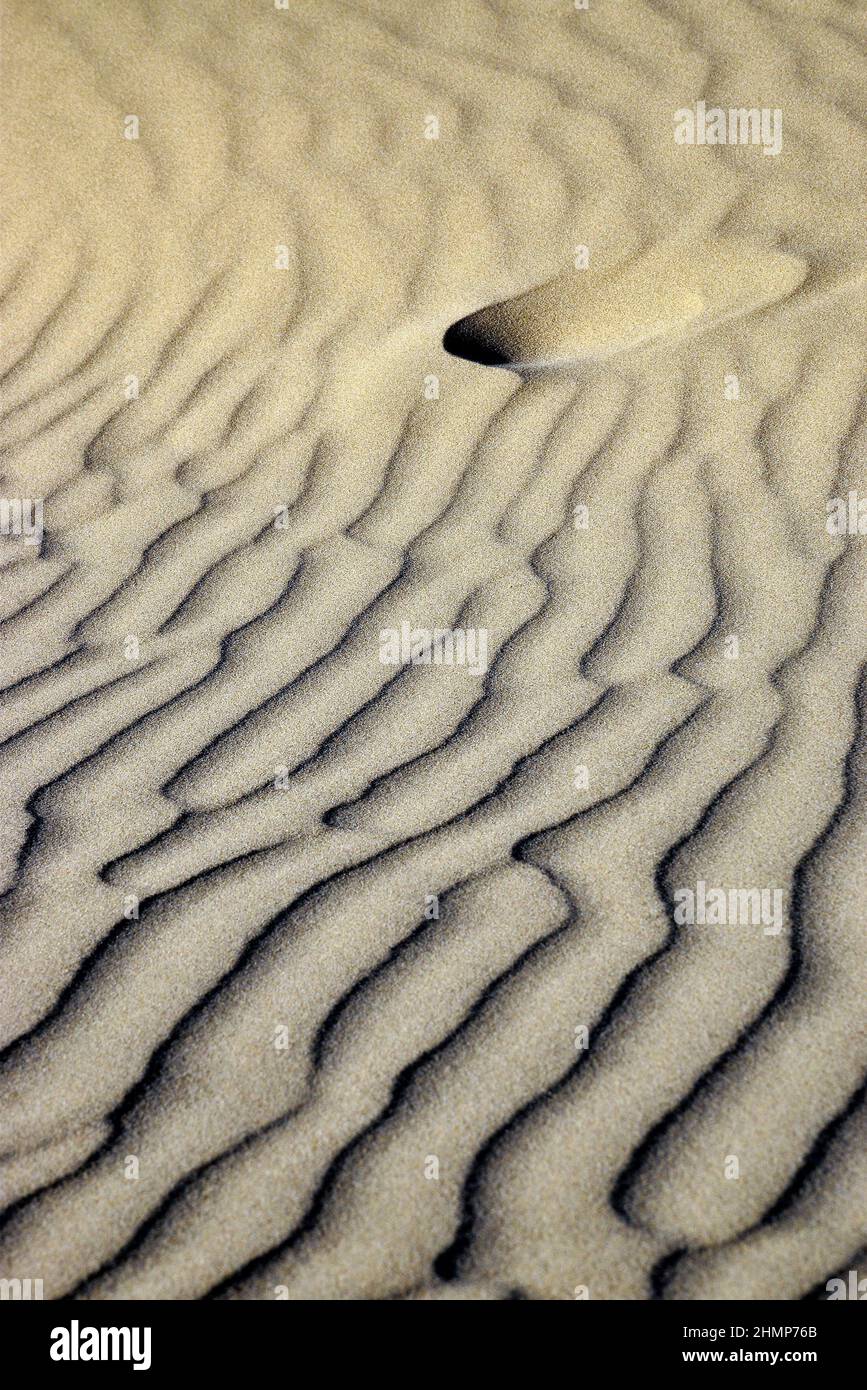 Empreinte dans le sable avec des ondulations dans la lumière et l'ombre Banque D'Images