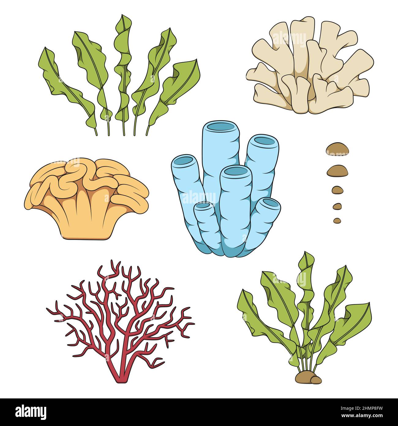 Jeu d'illustrations en couleur avec coraux et algues. Objets vectoriels isolés sur fond blanc. Illustration de Vecteur